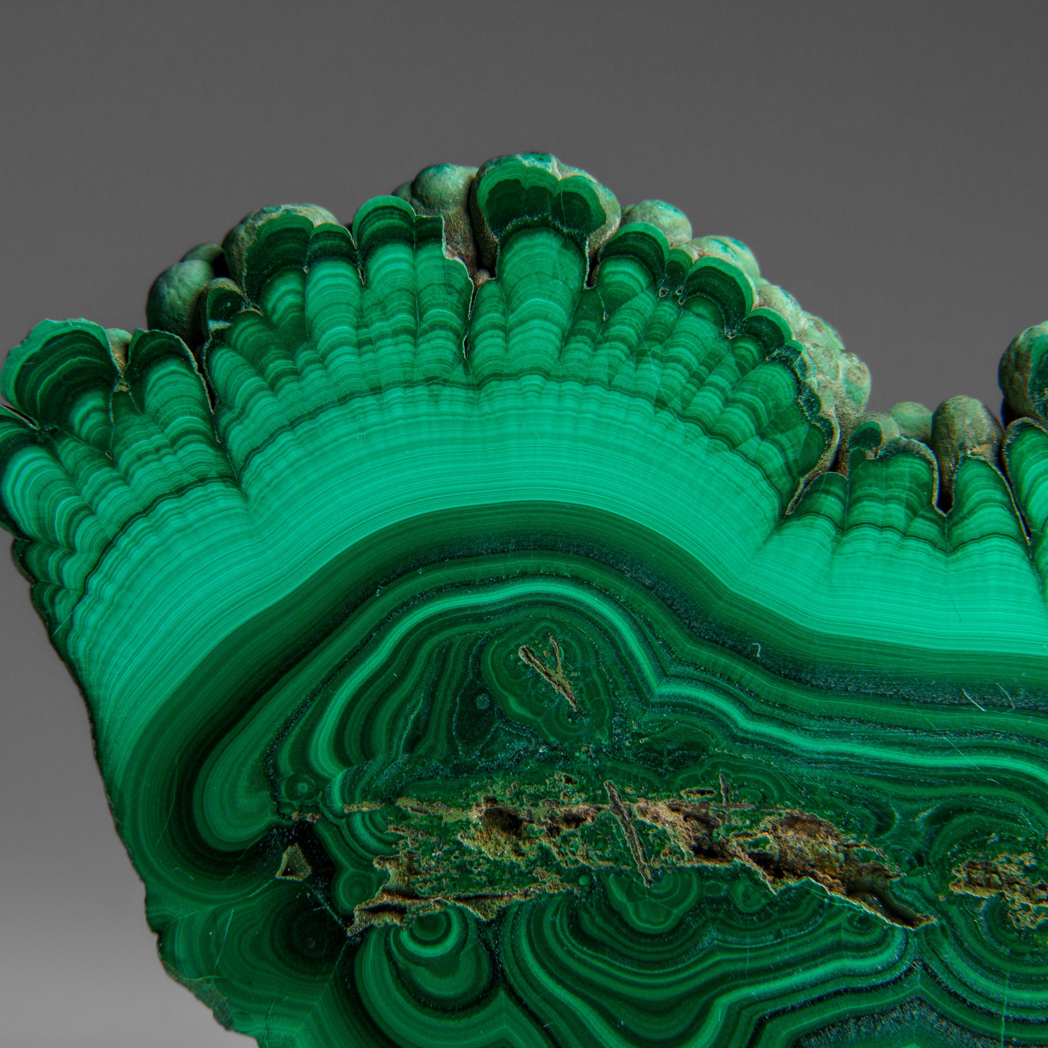 Genuine Polished Malachite Stalactite Slice (292.5 grams)