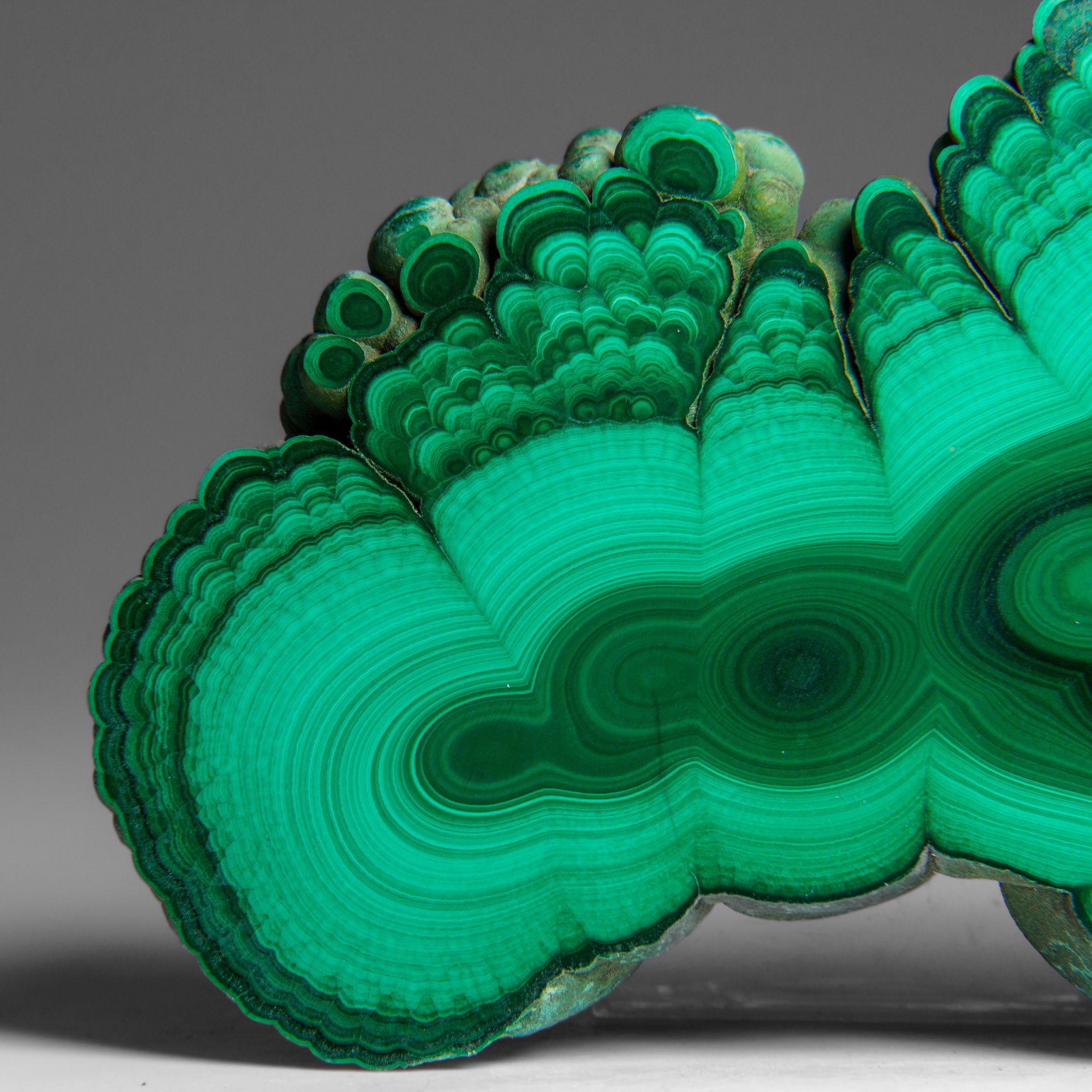 Genuine Polished Malachite Stalactite Slice (292.5 grams)