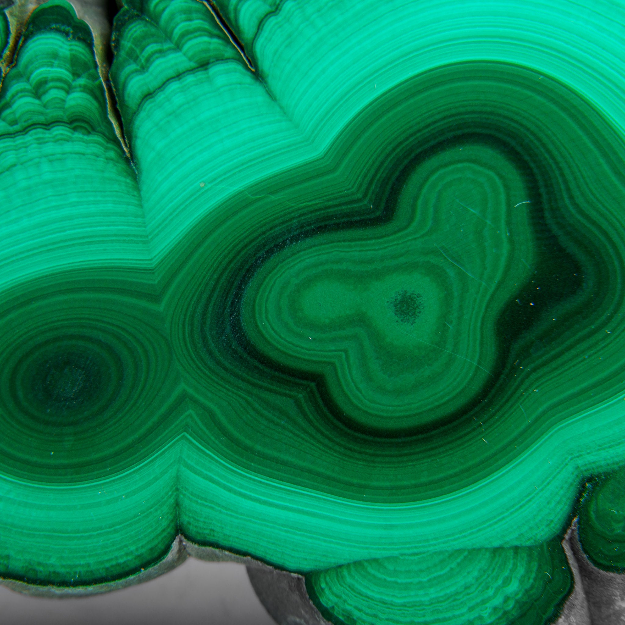 Genuine Polished Malachite Stalactite Slice (292.5 grams)