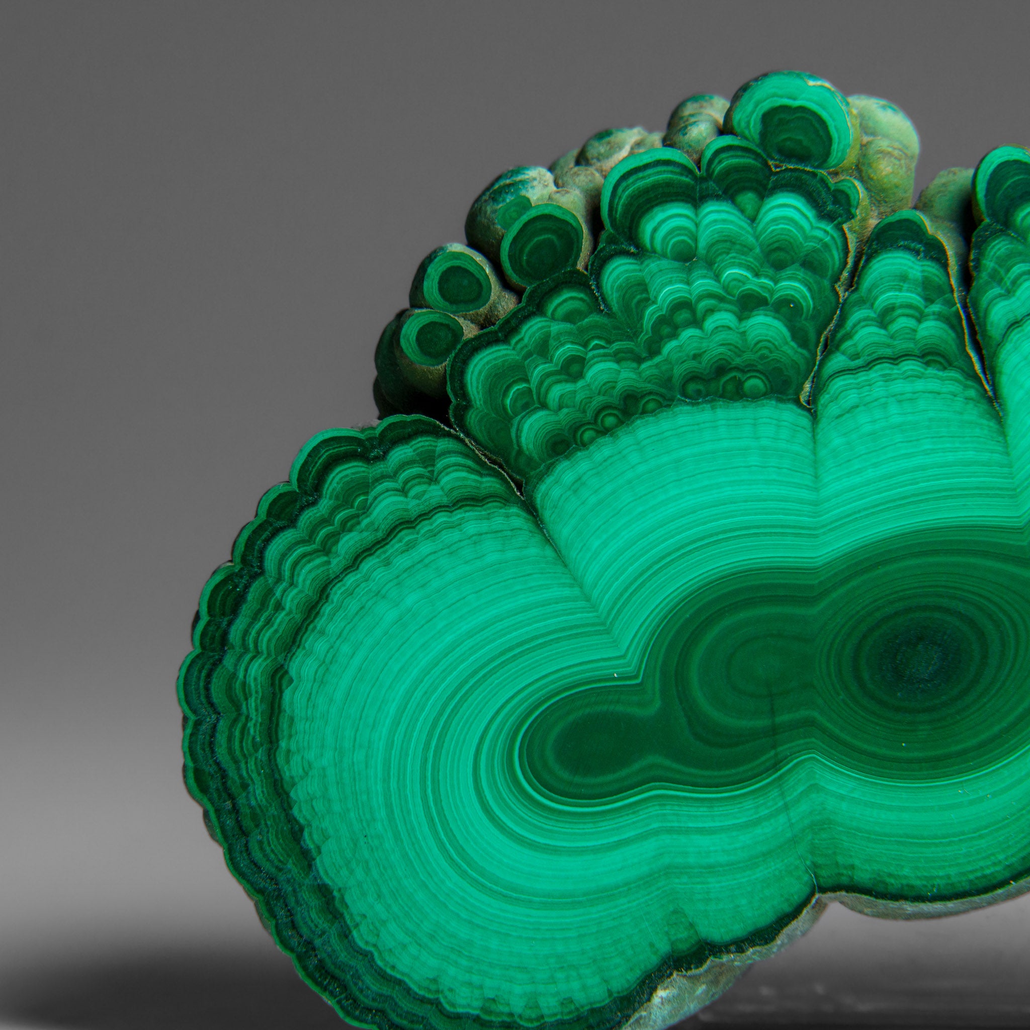 Genuine Polished Malachite Stalactite Slice (292.5 grams)
