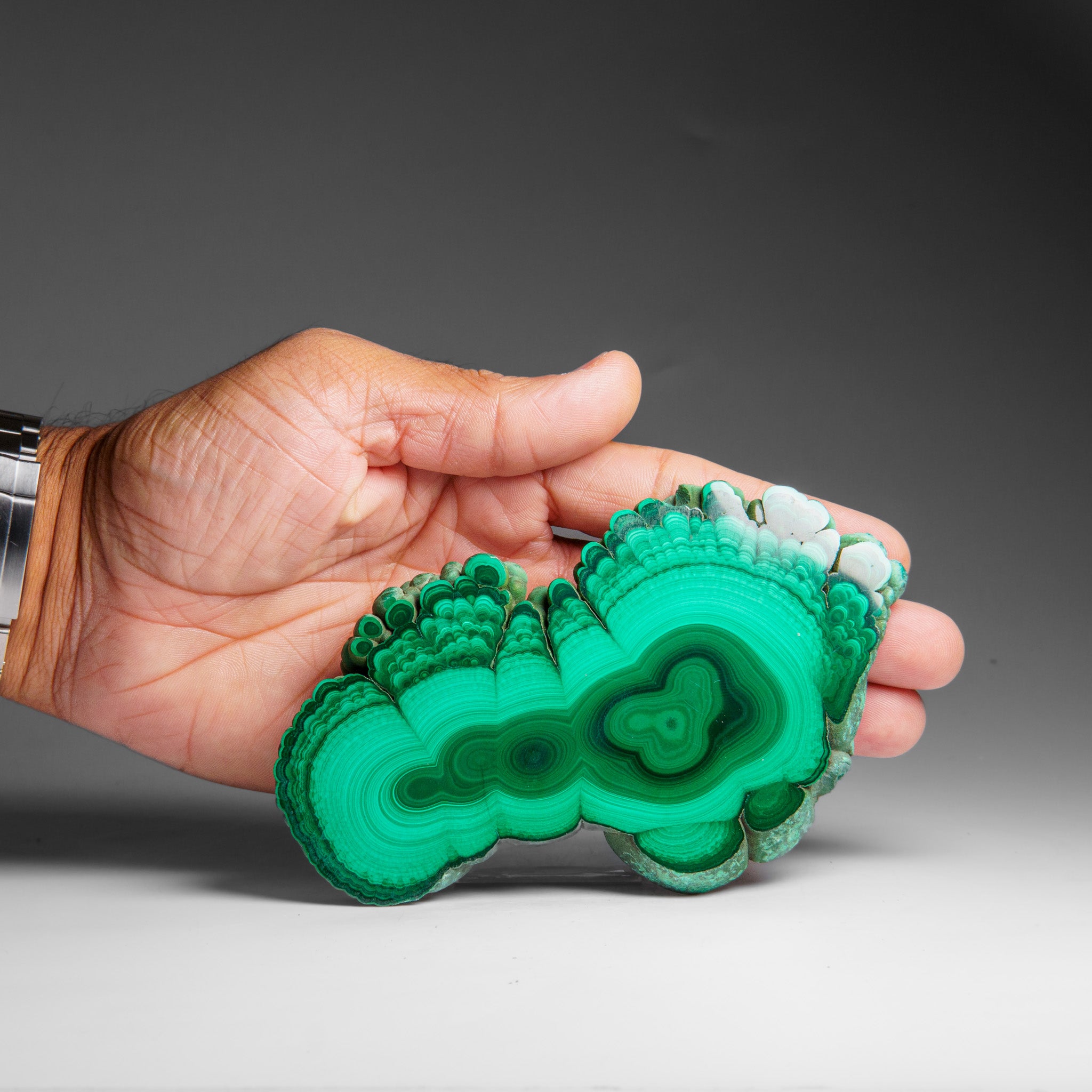 Genuine Polished Malachite Stalactite Slice (292.5 grams)