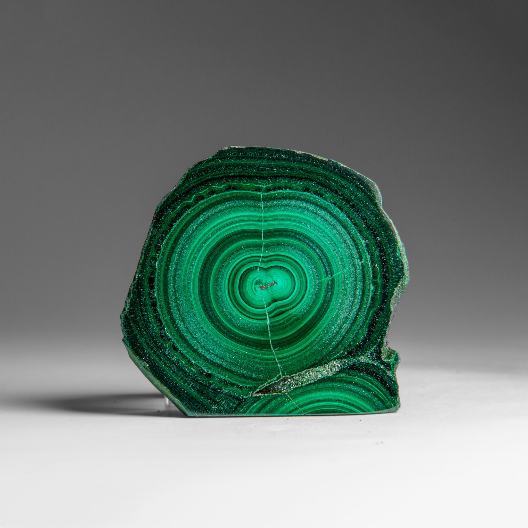 Genuine Polished Malachite Stalactite Slice (120 grams)
