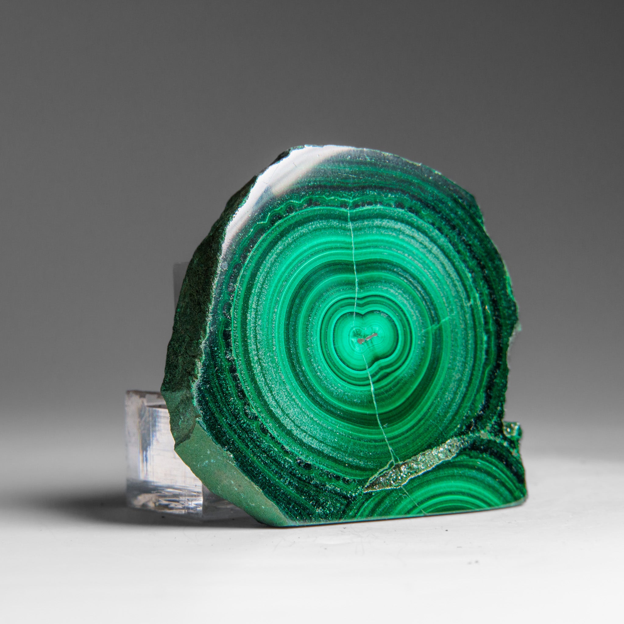 Genuine Polished Malachite Stalactite Slice (120 grams)