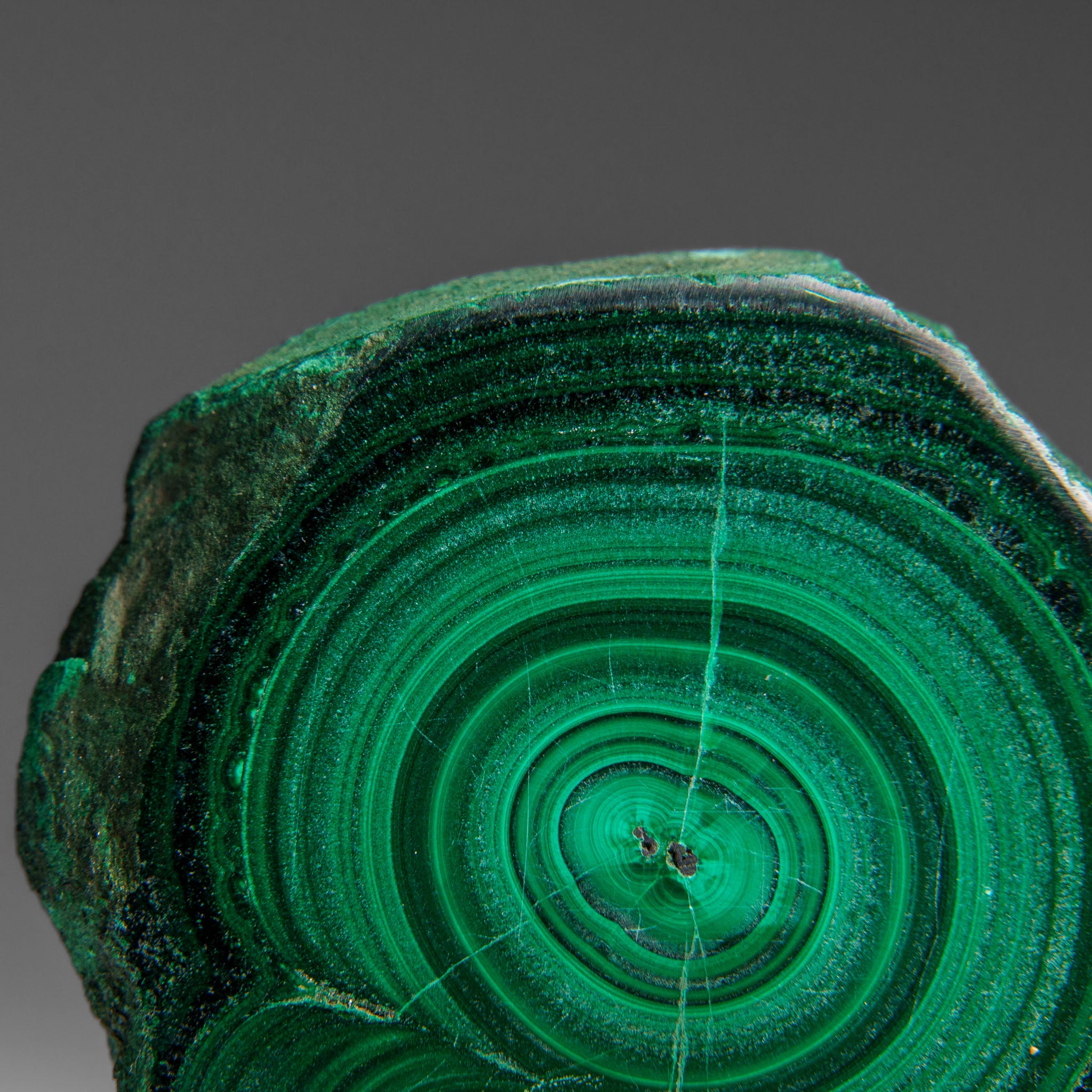Genuine Polished Malachite Stalactite Slice (120 grams)