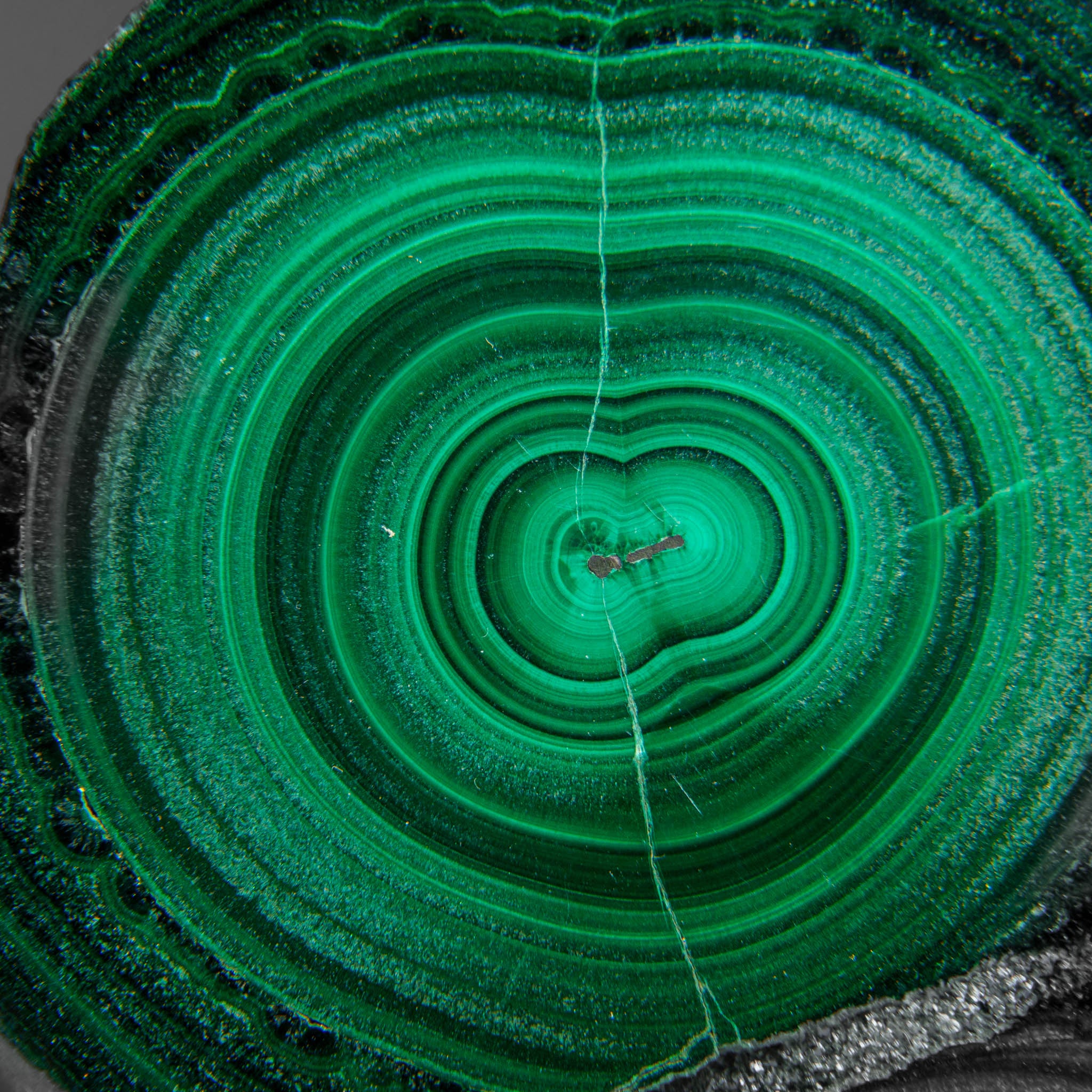 Genuine Polished Malachite Stalactite Slice (120 grams)