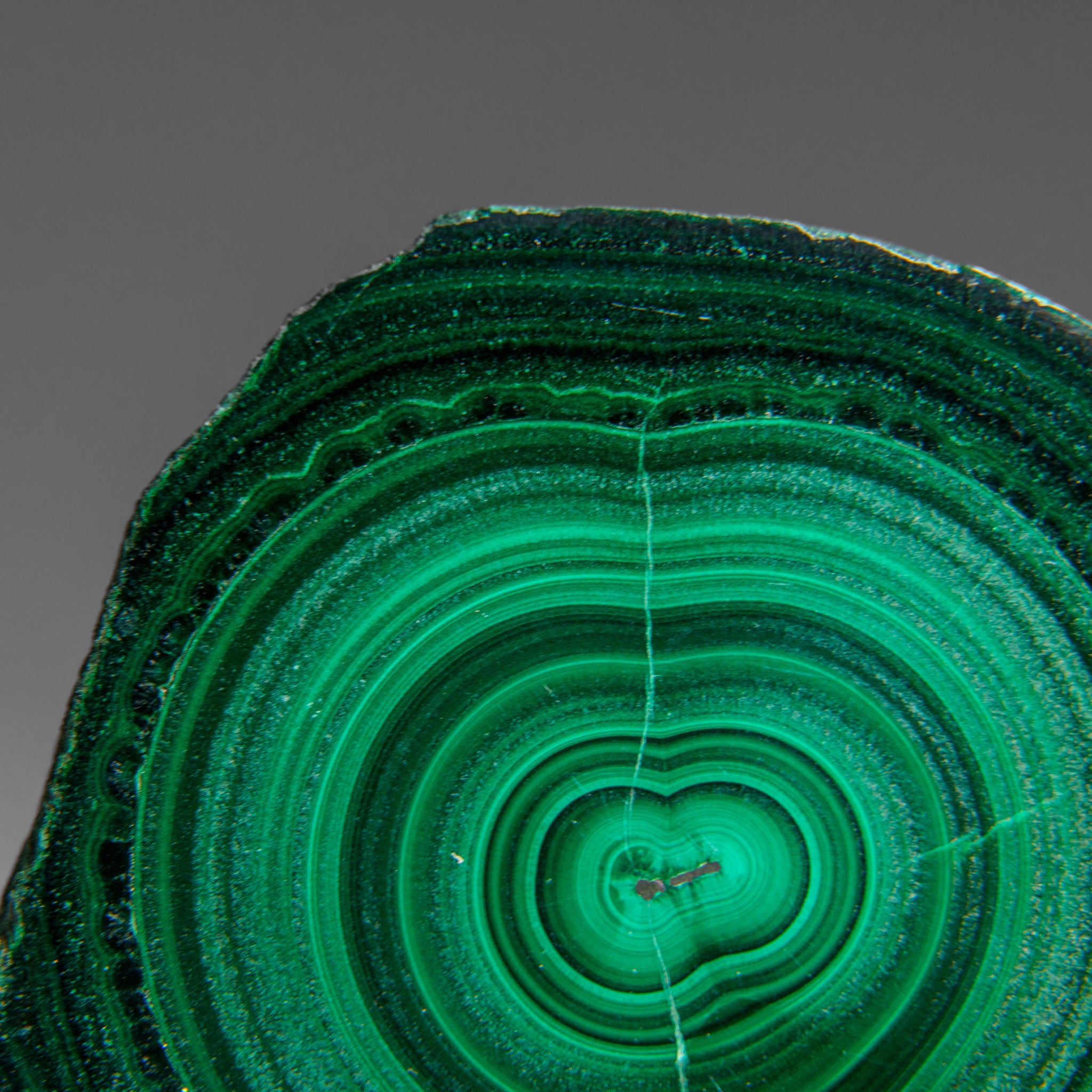 Genuine Polished Malachite Stalactite Slice (120 grams)