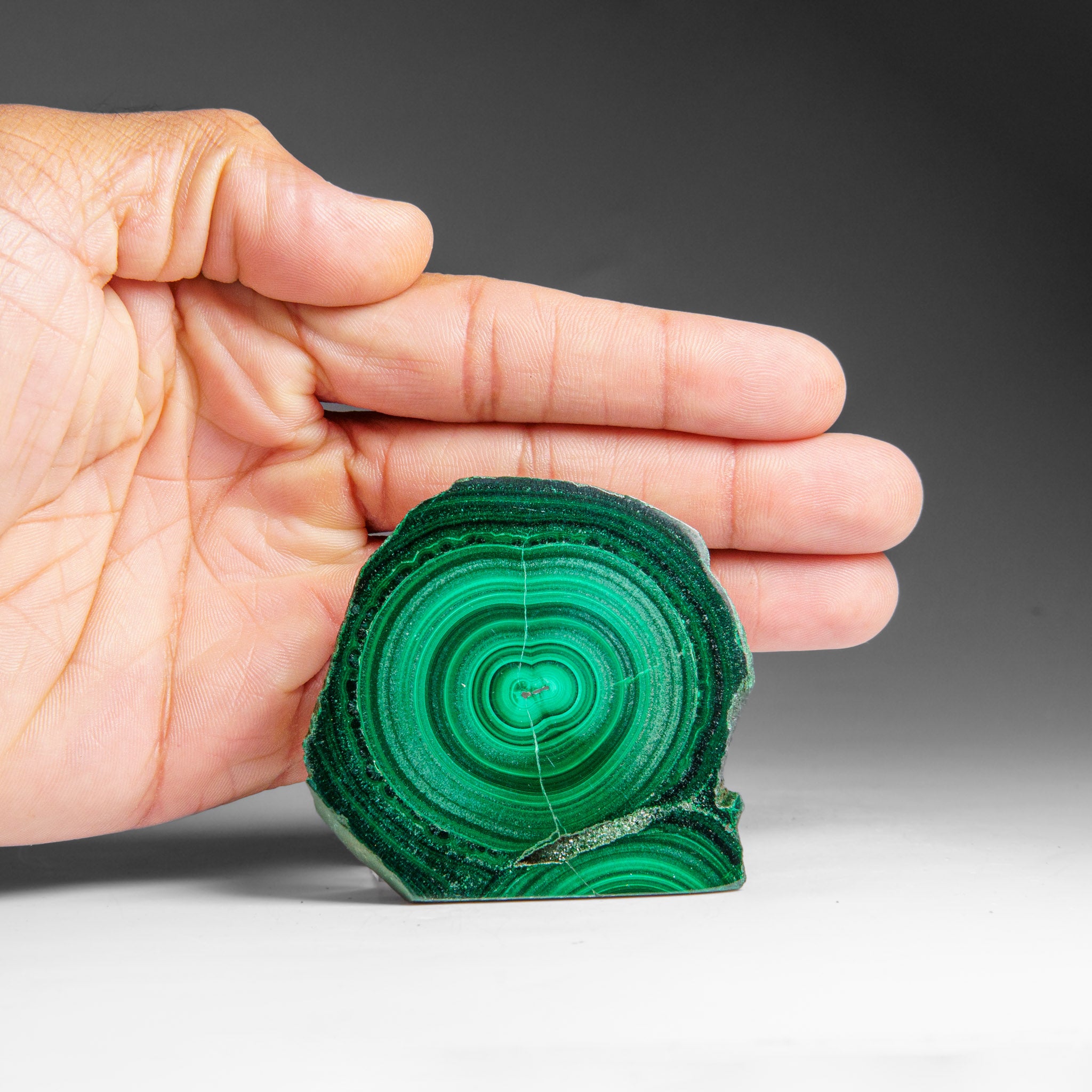 Genuine Polished Malachite Stalactite Slice (120 grams)