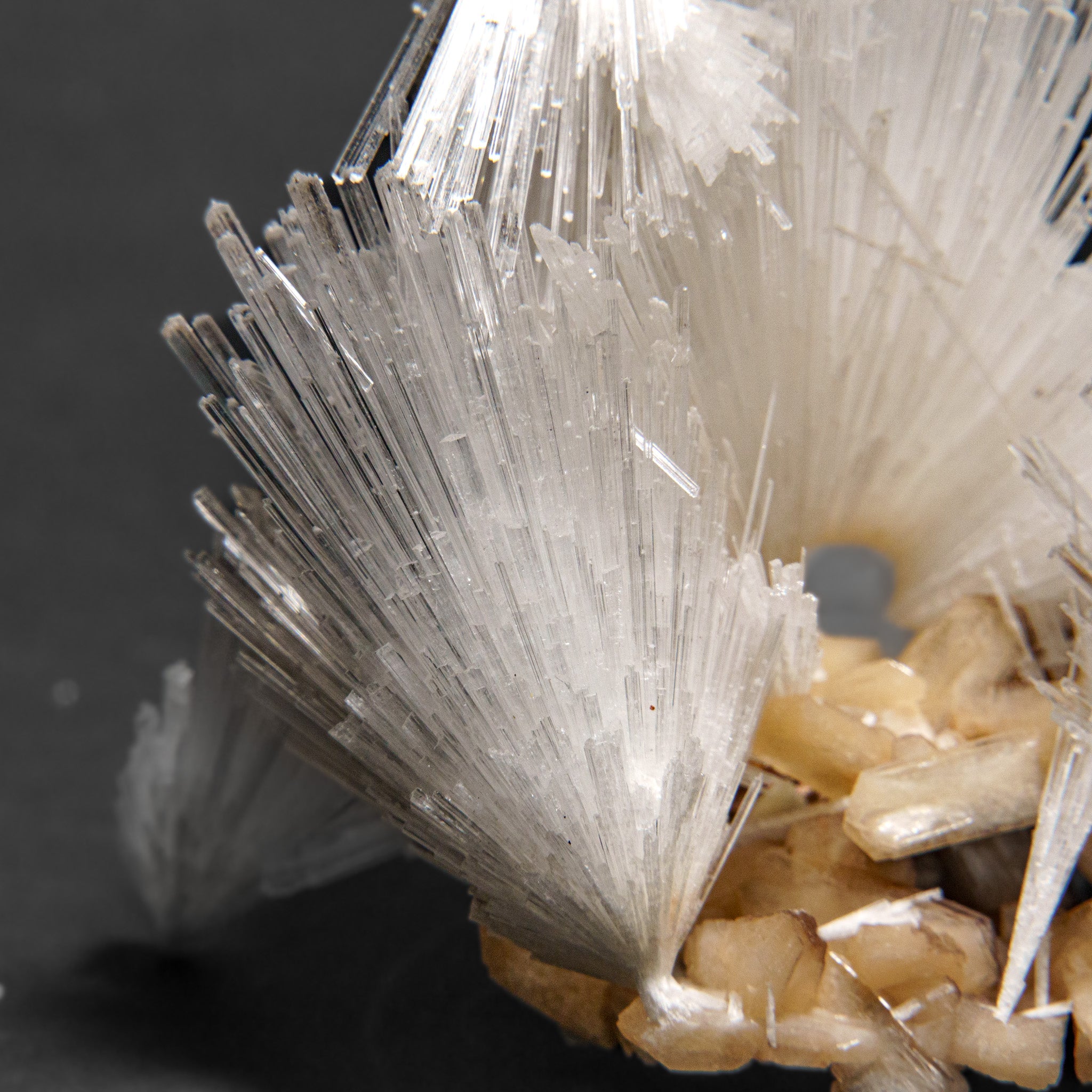 Scolecite with Stilbite From Nasik District, Maharashtra, India (252.6 grams)