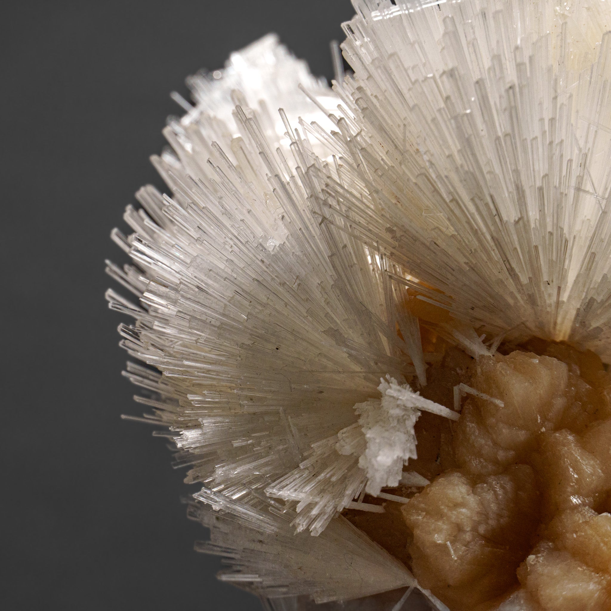 Scolecite with Stilbite From Nasik District, Maharashtra, India (1.9 lbs)