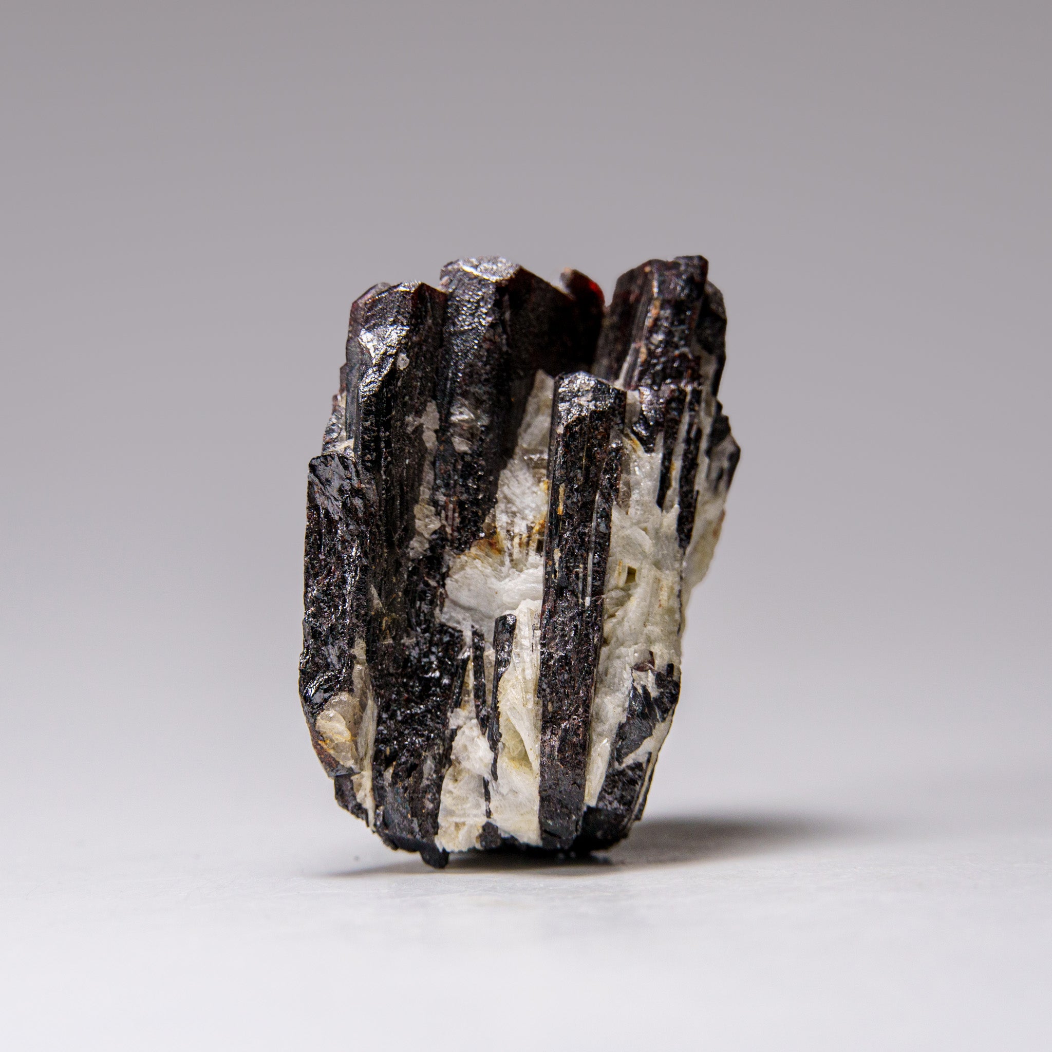 Hubnerite with Quartz Pasto Bueno, Pallasca Province, Ancash Dept., Peru