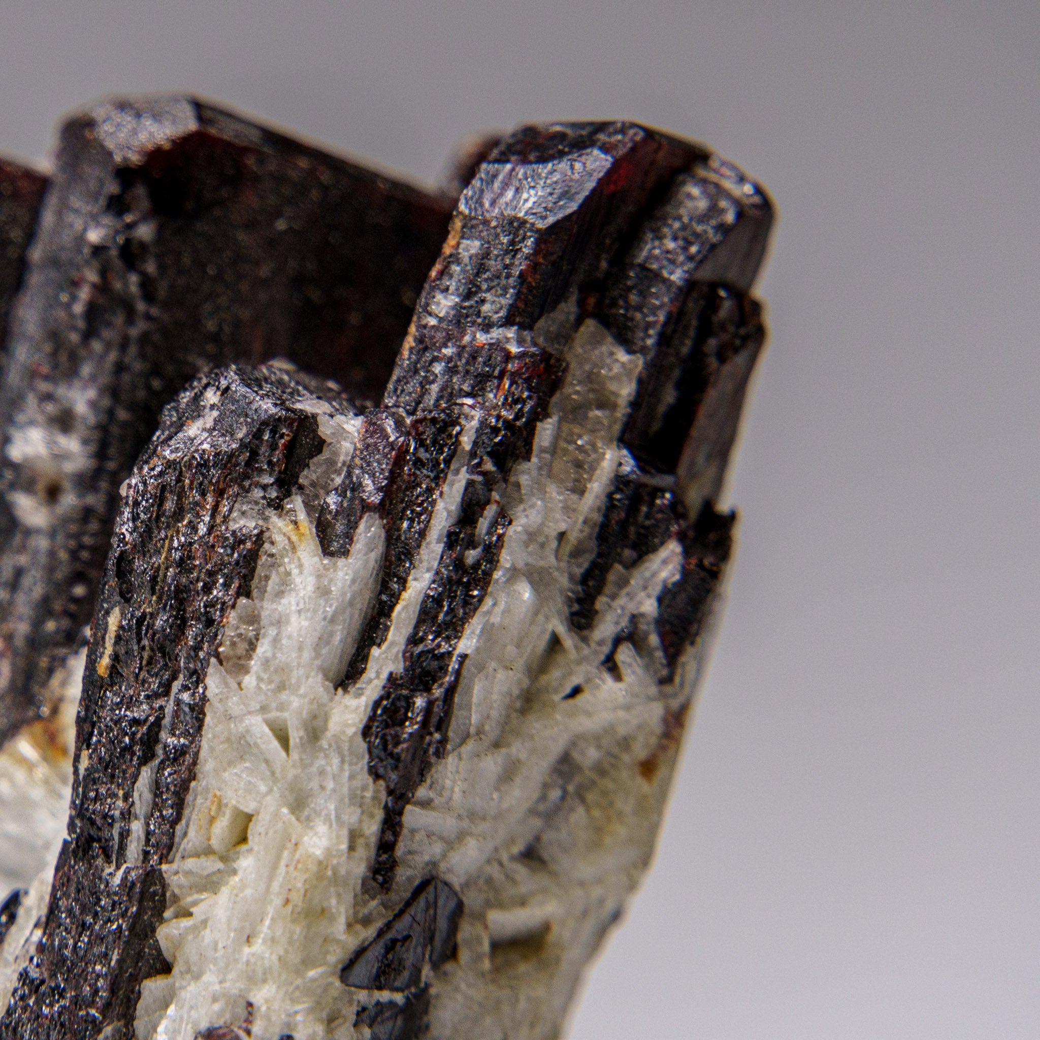 Hubnerite with Quartz Pasto Bueno, Pallasca Province, Ancash Dept., Peru