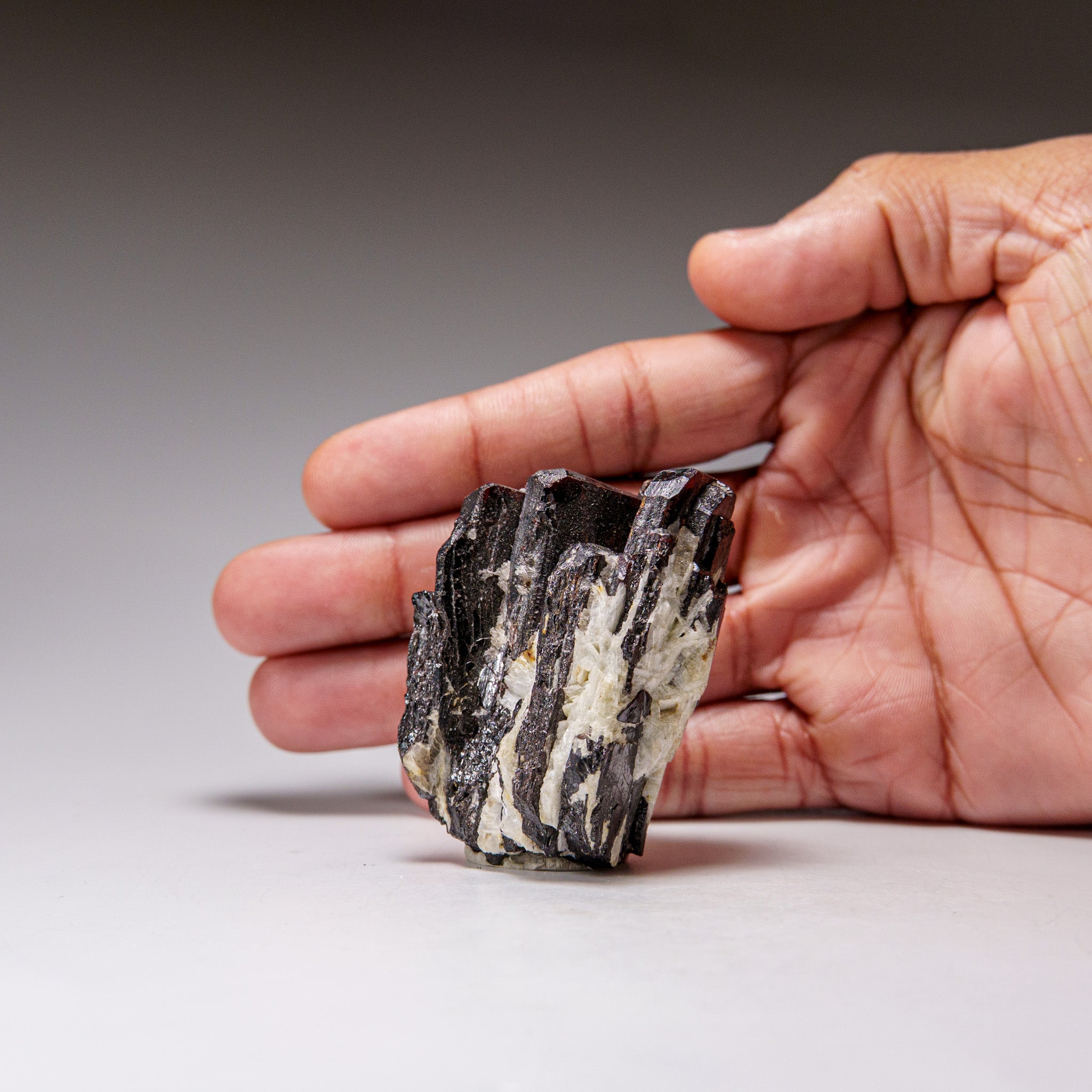 Hubnerite with Quartz Pasto Bueno, Pallasca Province, Ancash Dept., Peru