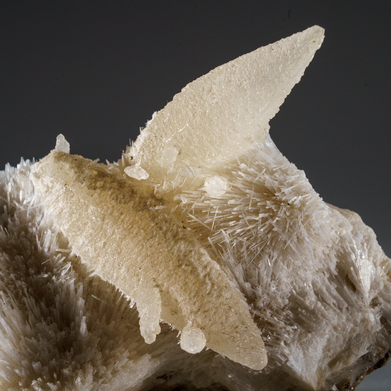 Calcite on Mesolite from Pune District, Maharashtra, India
