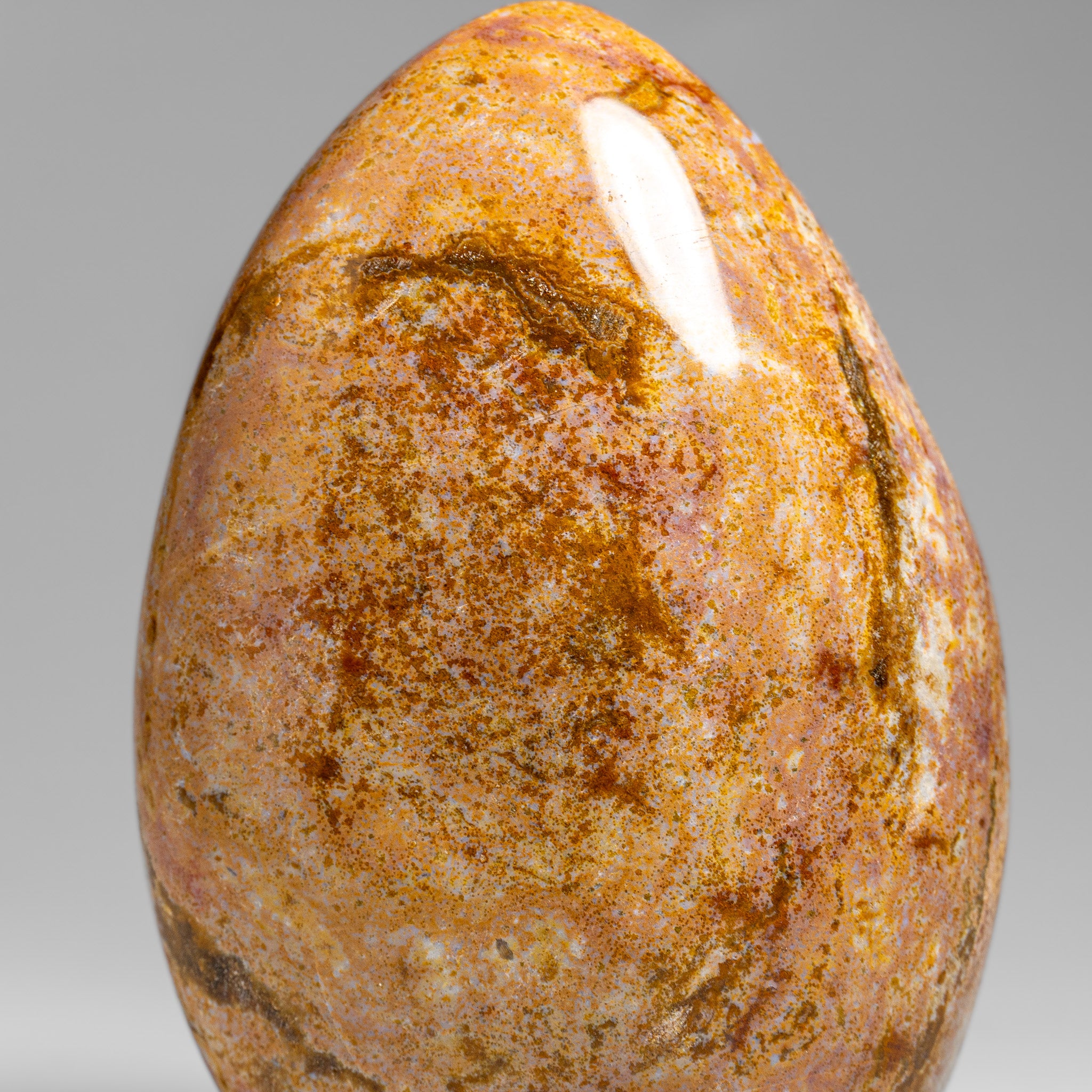 Polished Ocean Jasper Freeform from Madagascar (1.5 lbs)