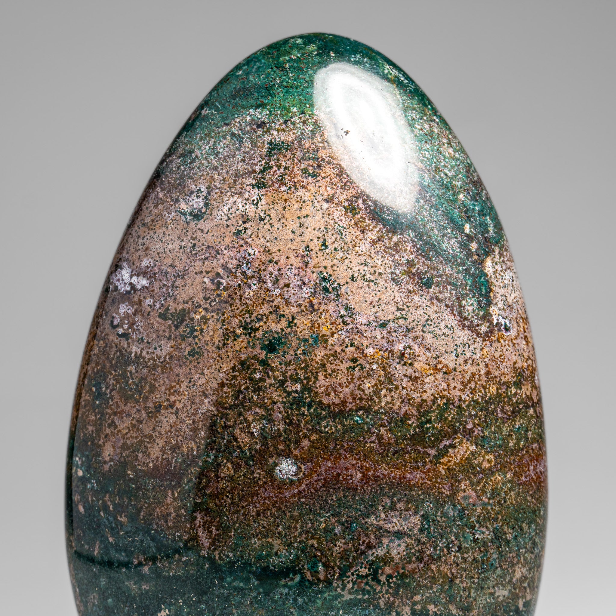 Polished Ocean Jasper Freeform from Madagascar (2.5 lbs)