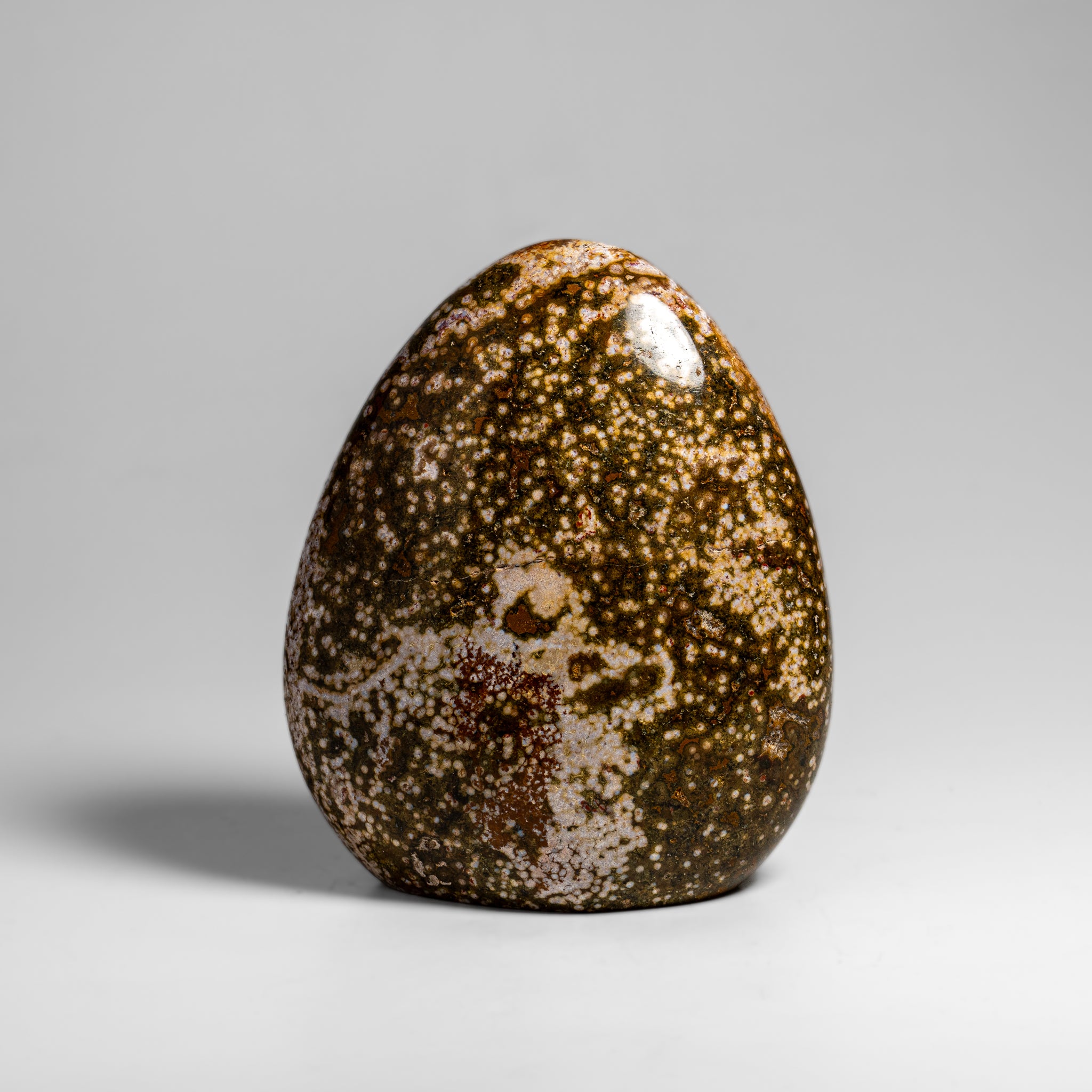 Polished Ocean Jasper Freeform from Madagascar (3.5 lbs)