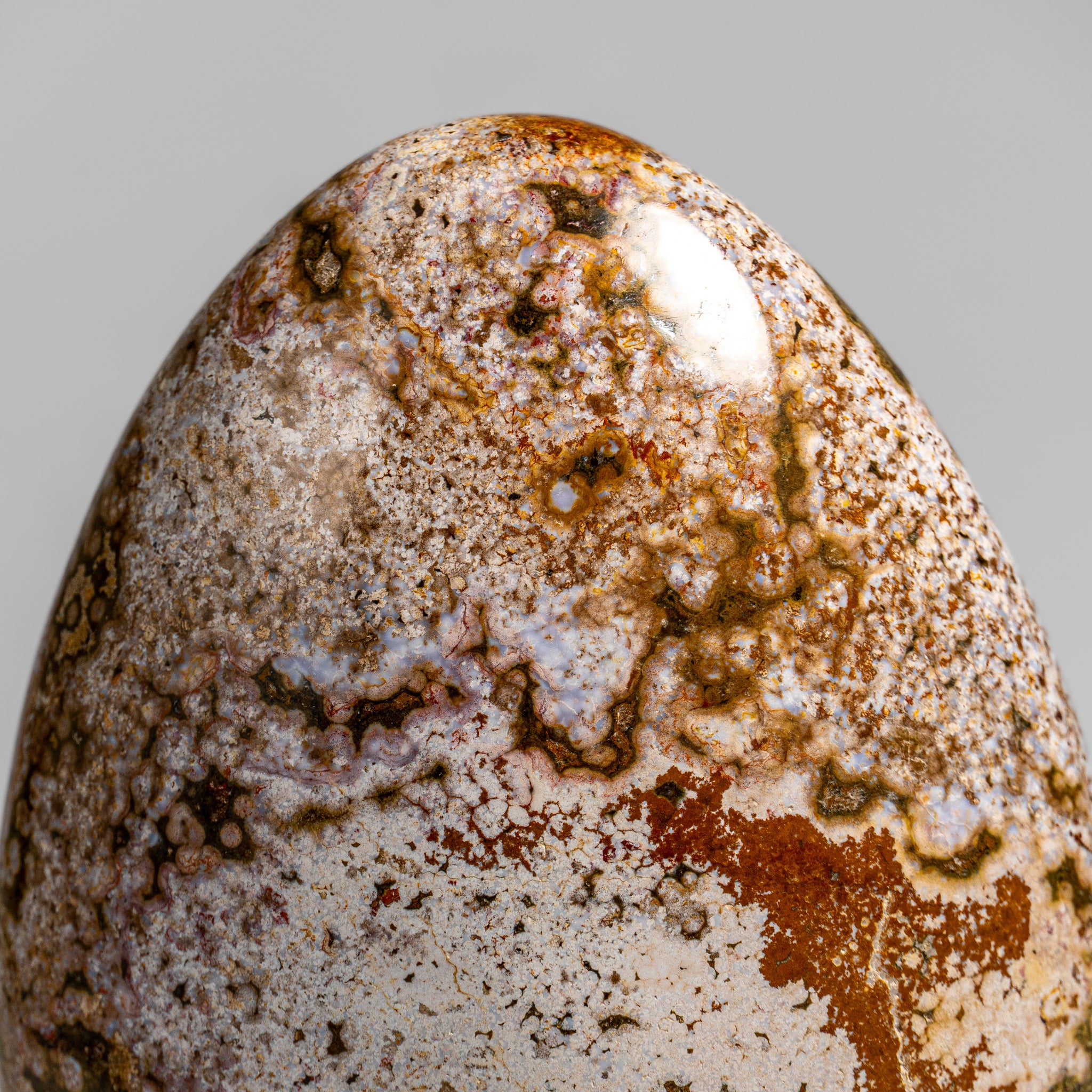 Polished Ocean Jasper Freeform from Madagascar (3.5 lbs)