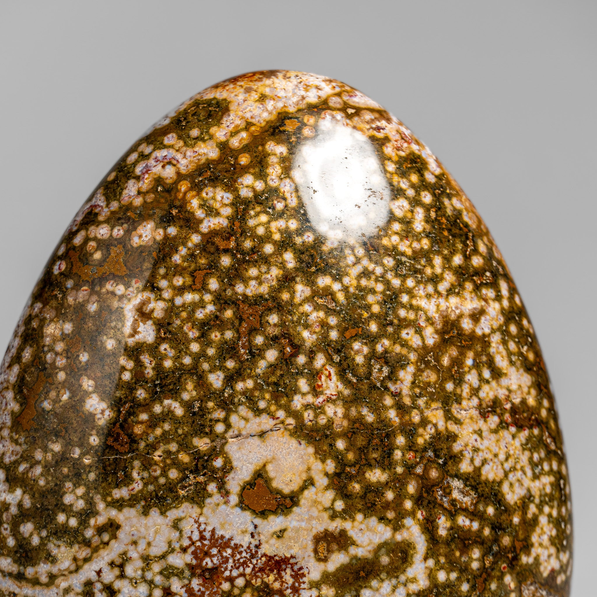 Polished Ocean Jasper Freeform from Madagascar (3.5 lbs)