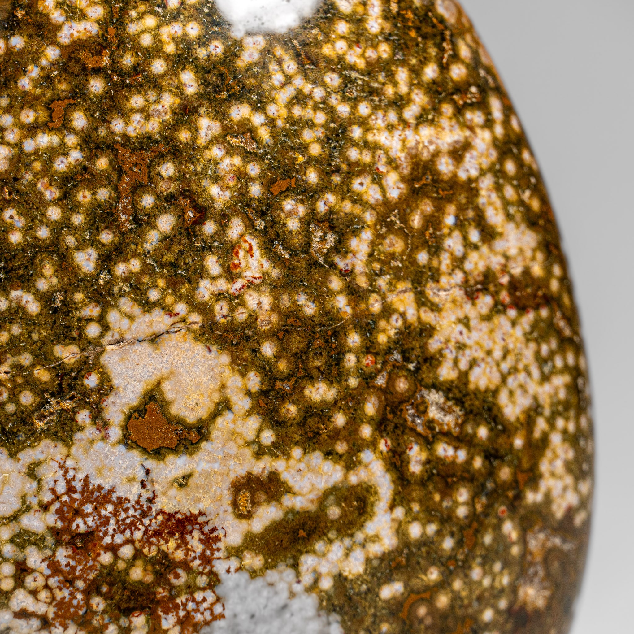 Polished Ocean Jasper Freeform from Madagascar (3.5 lbs)