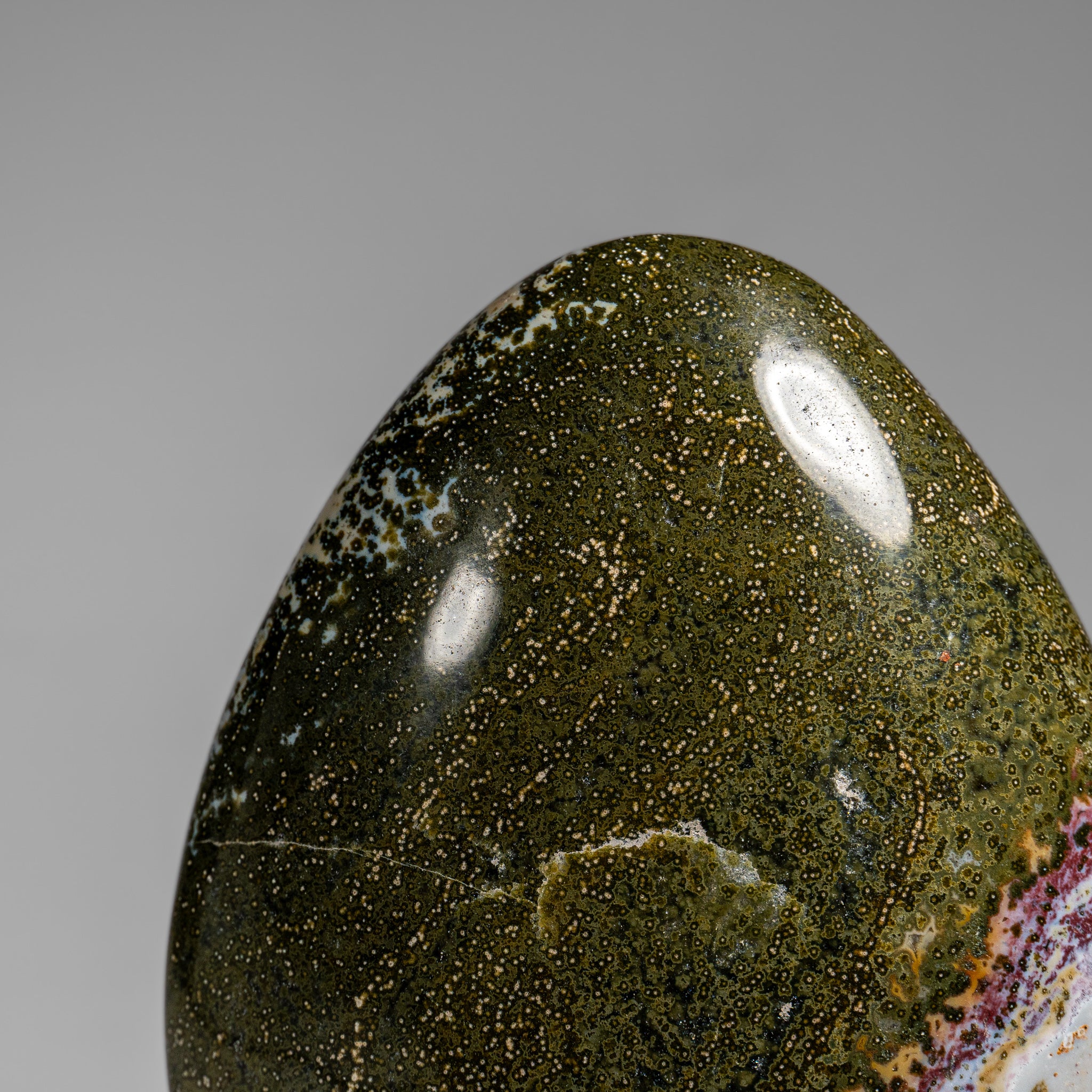 Polished Ocean Jasper Freeform from Madagascar (4 lbs)