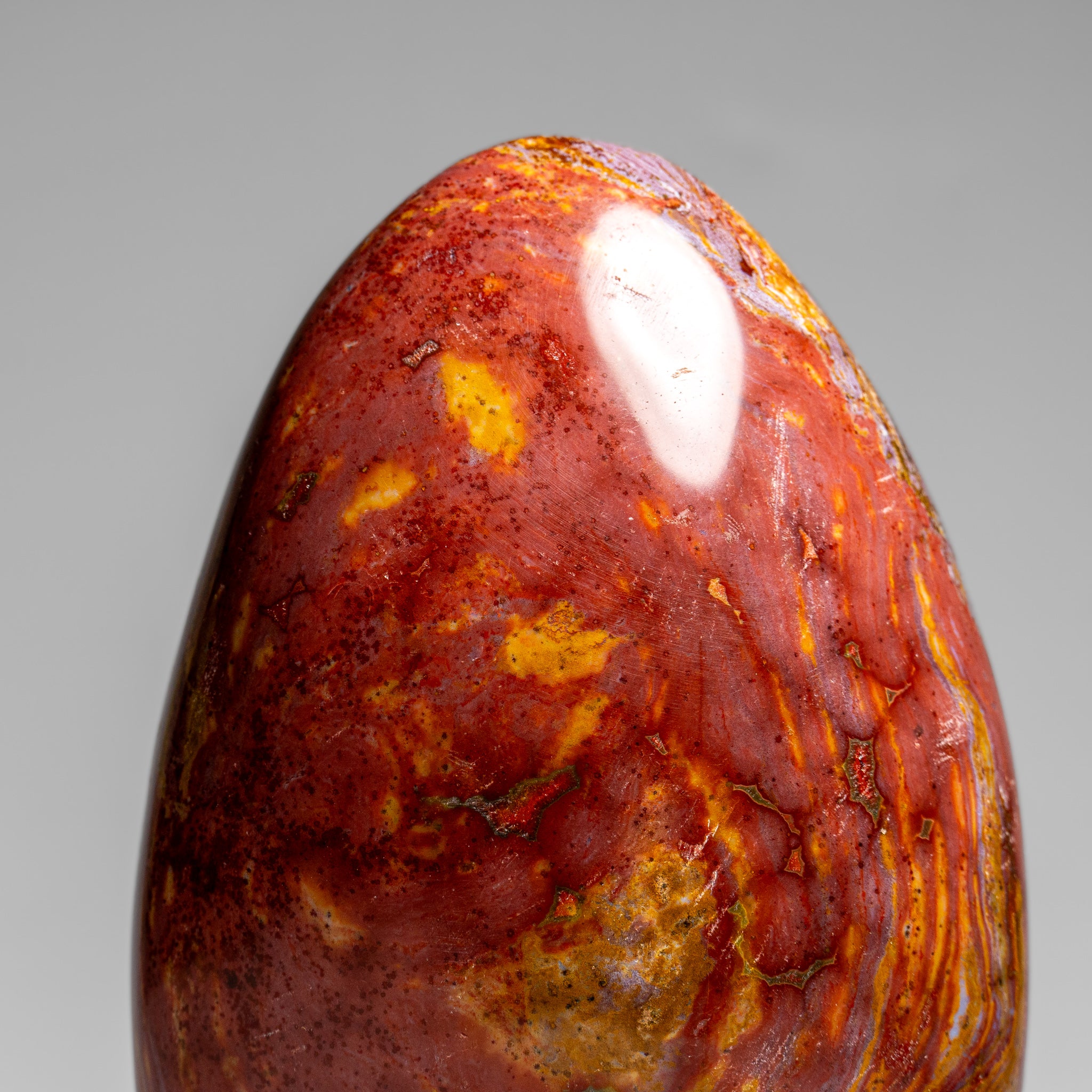 Polished Ocean Jasper Freeform from Madagascar (4 lbs)