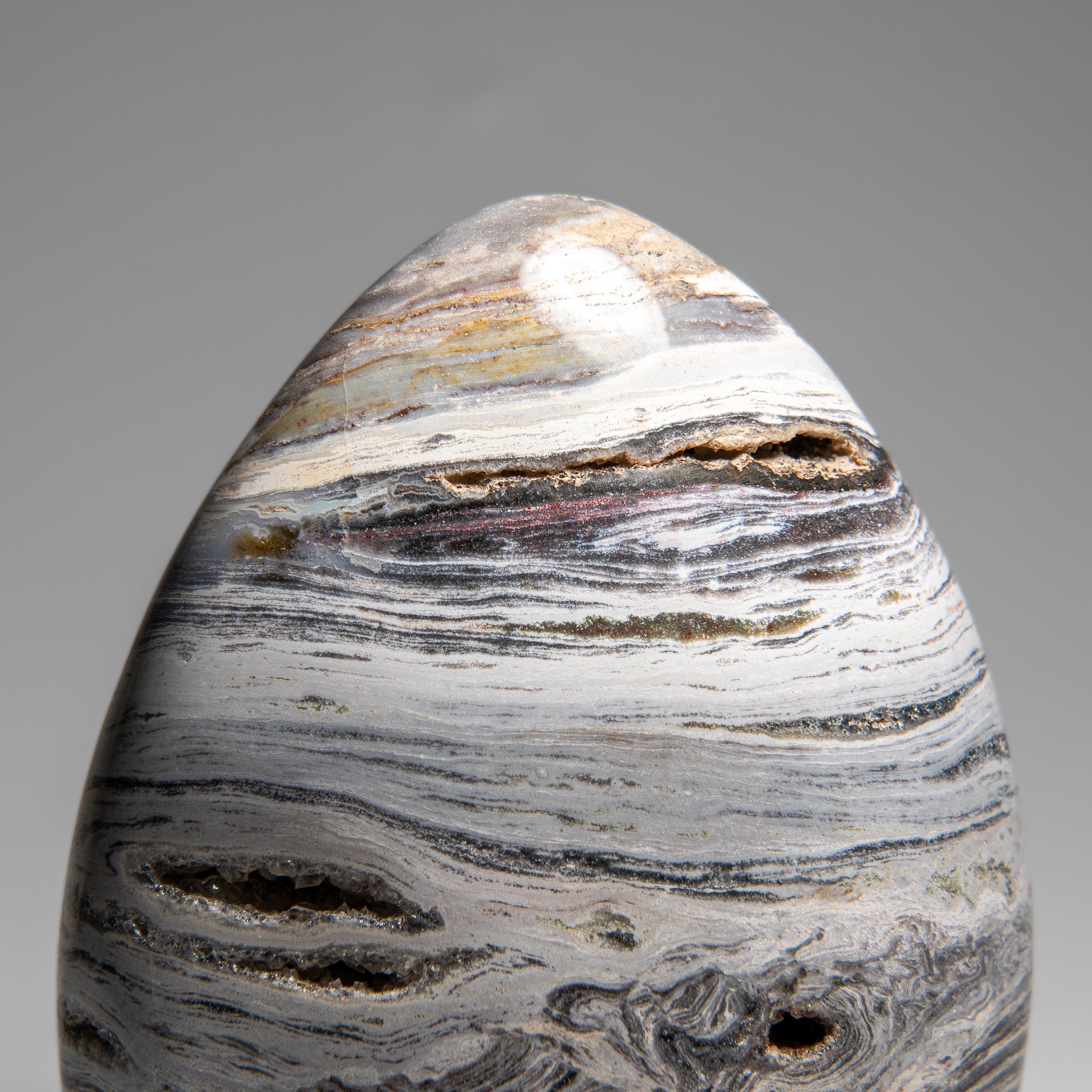 Polished Ocean Jasper Freeform from Madagascar (4 lbs)