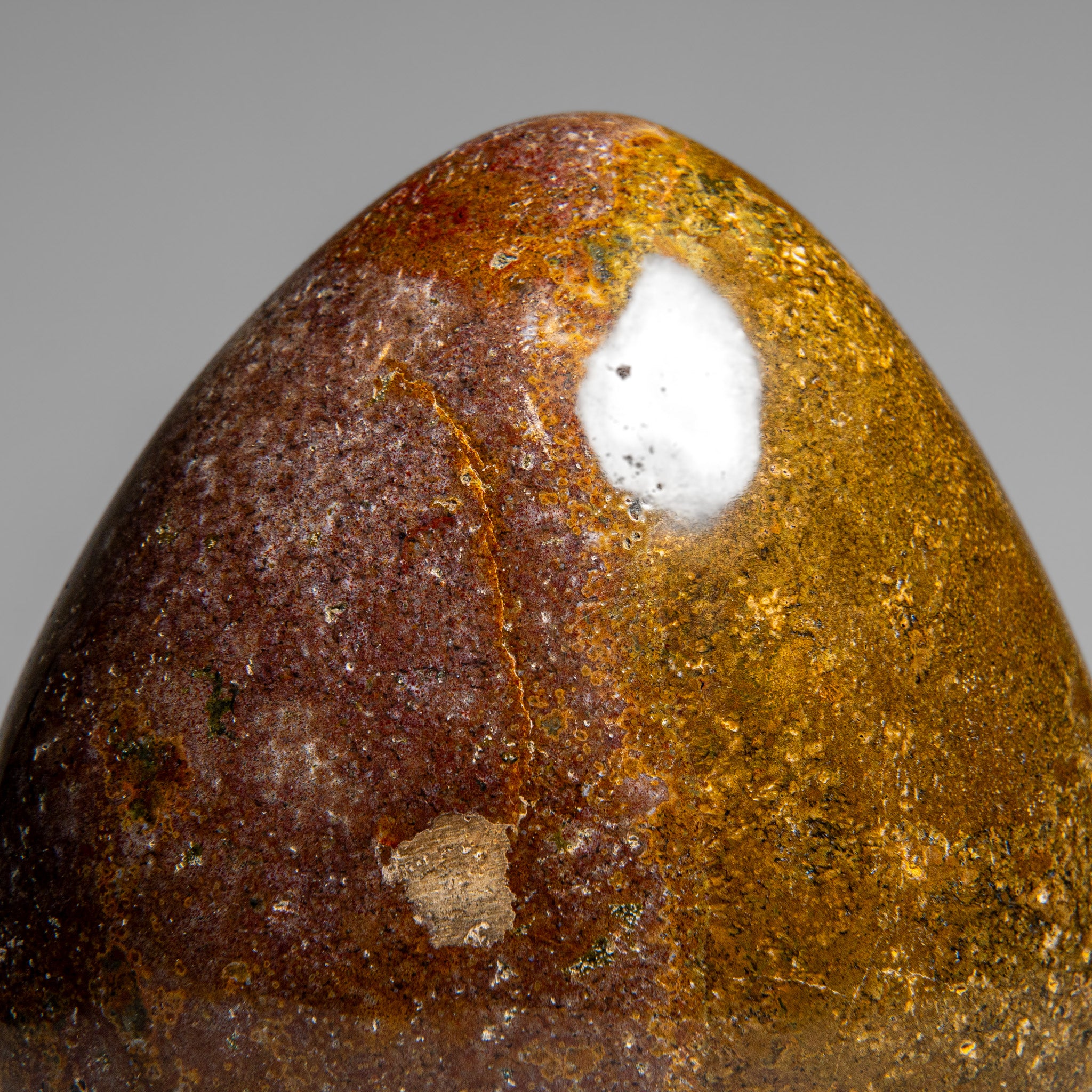 Polished Ocean Jasper Freeform from Madagascar (4.5 lbs)