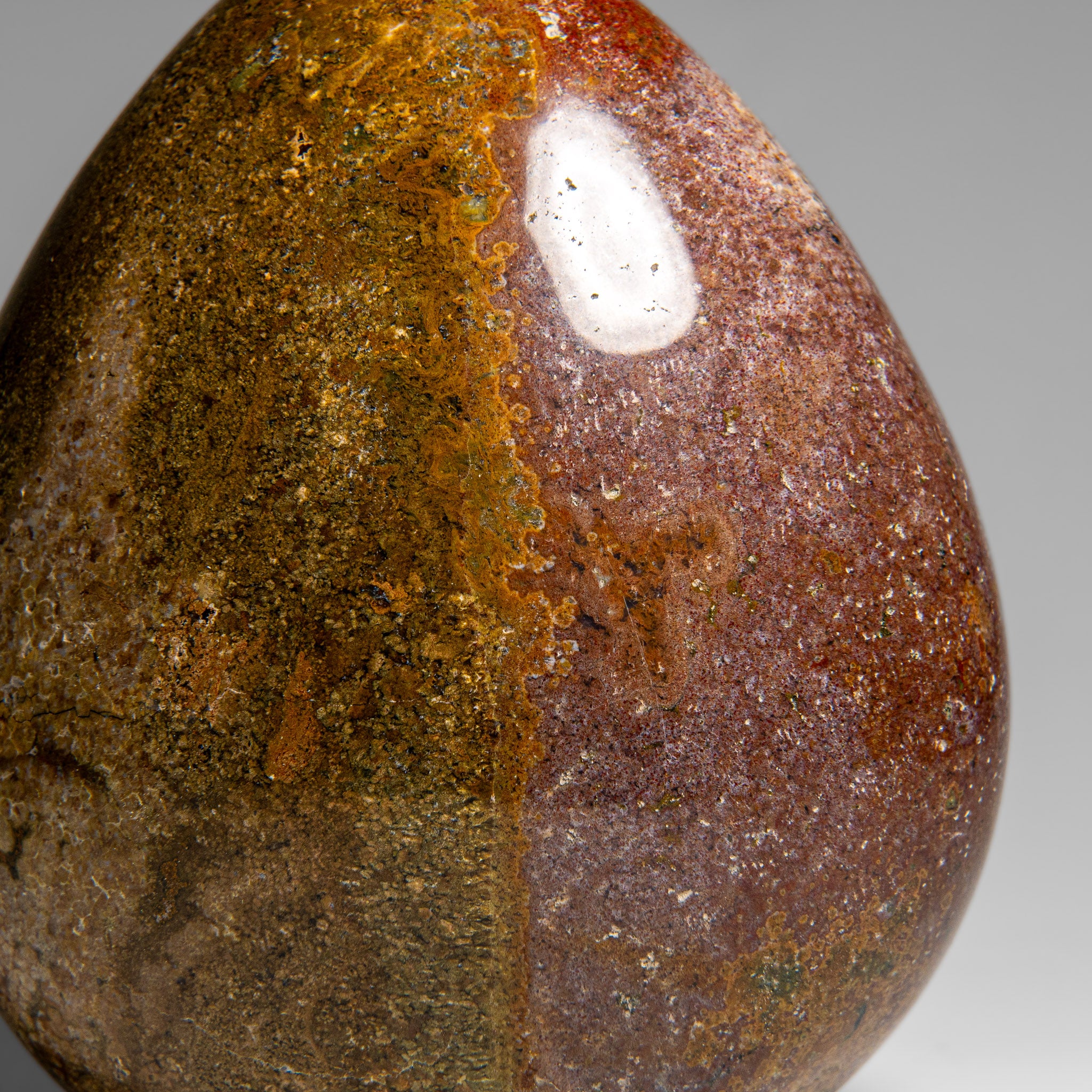 Polished Ocean Jasper Freeform from Madagascar (4.5 lbs)