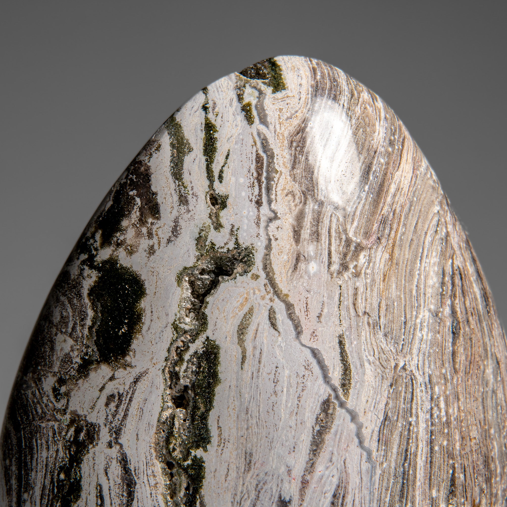 Polished Ocean Jasper Freeform from Madagascar (5.5 lbs)