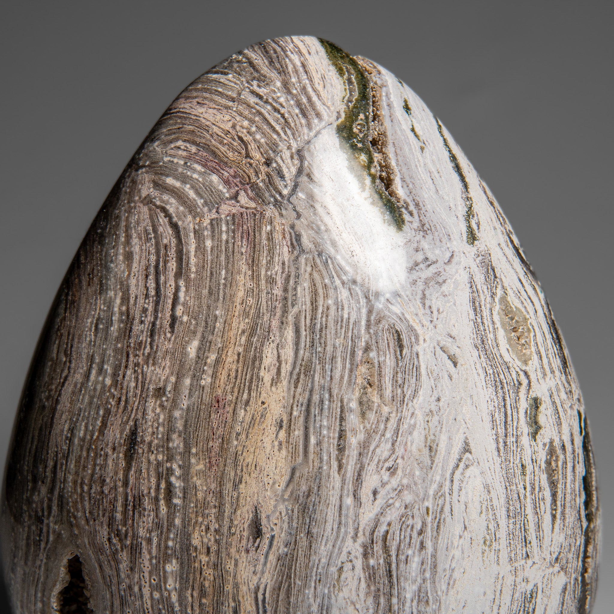 Polished Ocean Jasper Freeform from Madagascar (5.5 lbs)