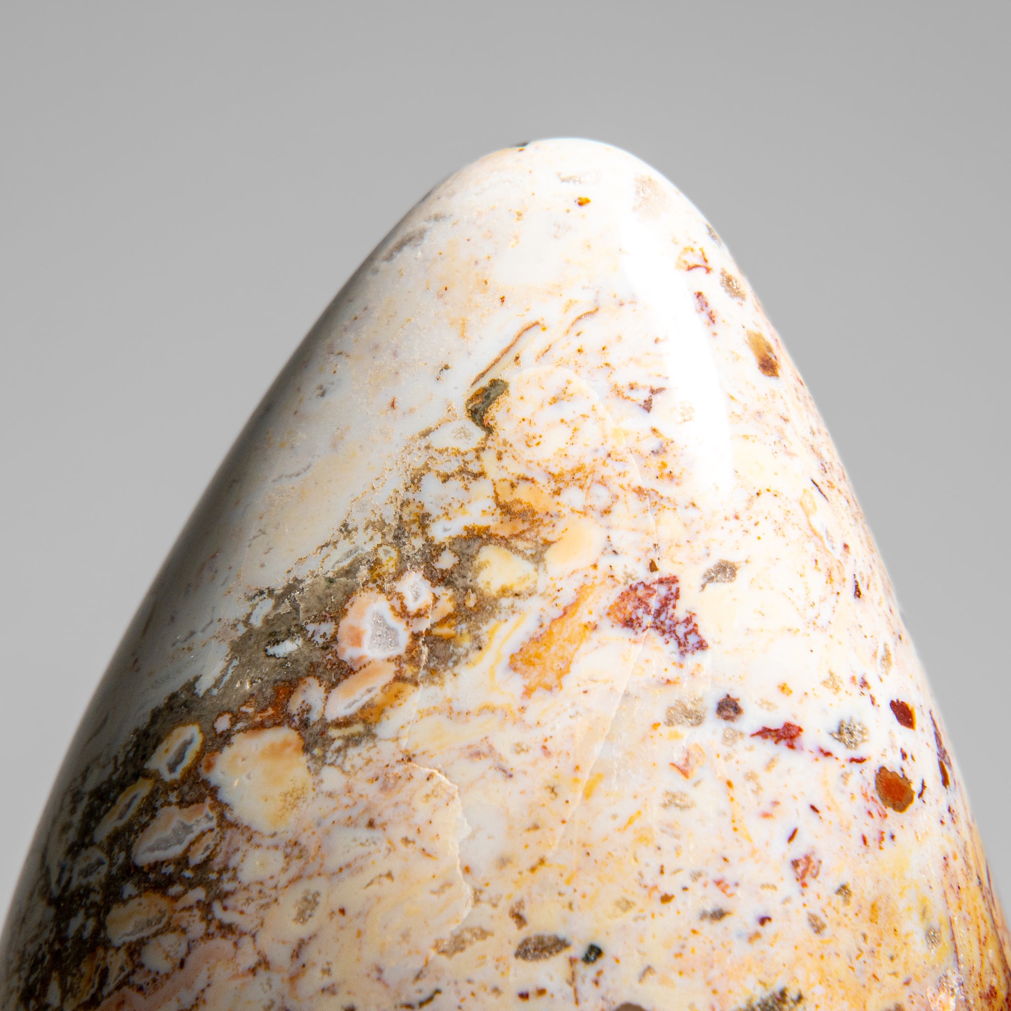 Polished Ocean Jasper Freeform from Madagascar (6 lbs)