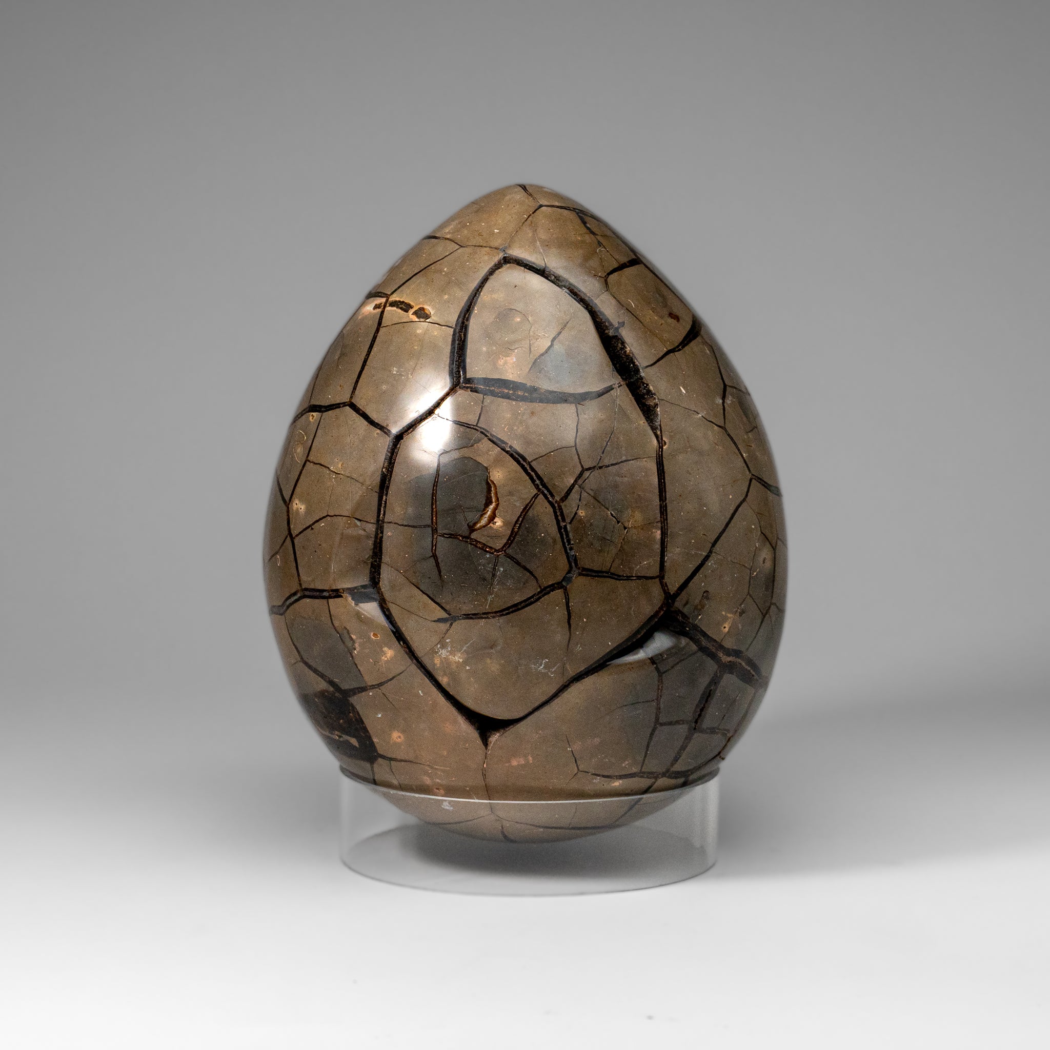 Polished Septarian Druzy Geode Egg from Madagascar (30.5 lbs)