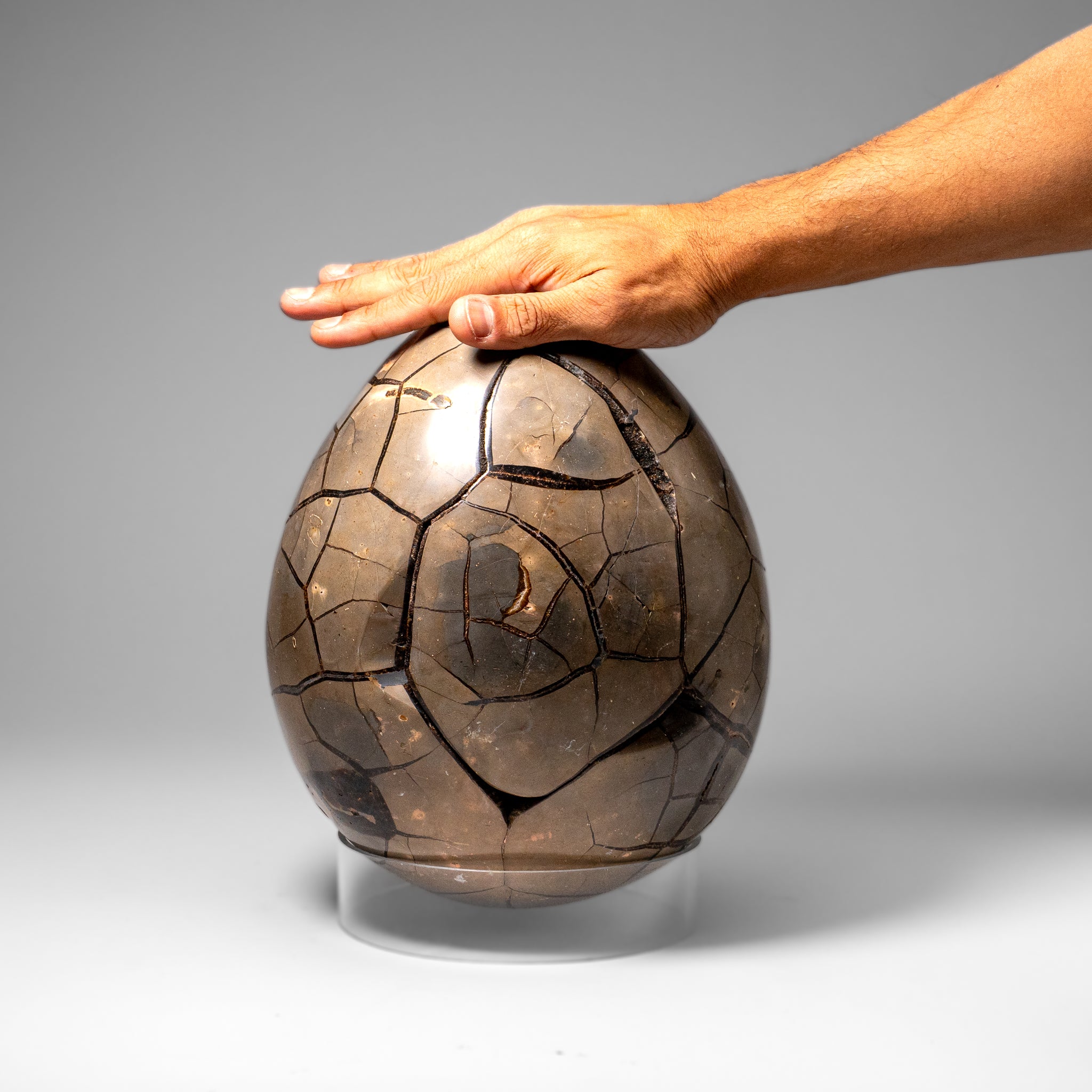 Polished Septarian Druzy Geode Egg from Madagascar (30.5 lbs)