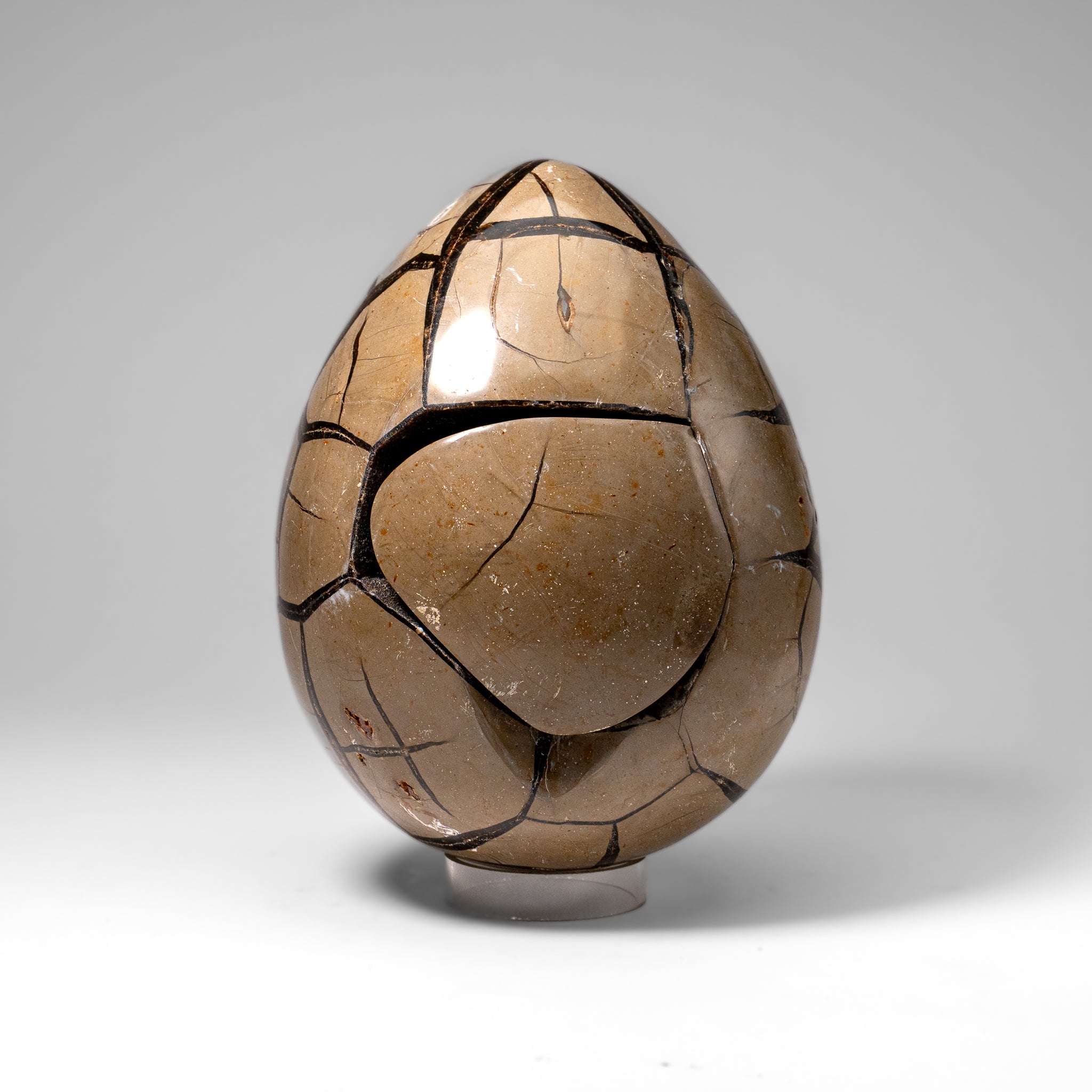 Polished Septarian Druzy Geode Egg from Madagascar (20 lbs)