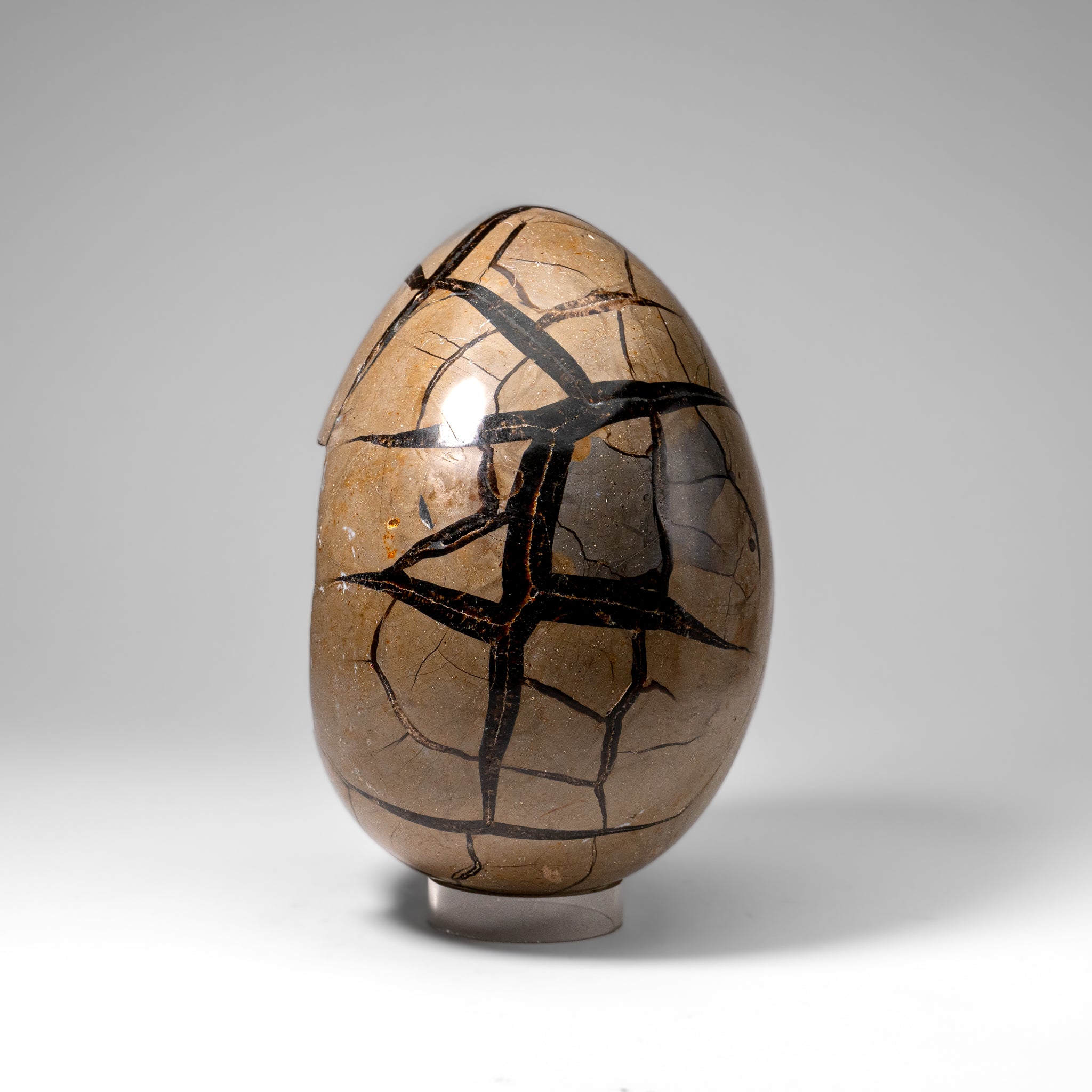 Polished Septarian Druzy Geode Egg from Madagascar (20 lbs)