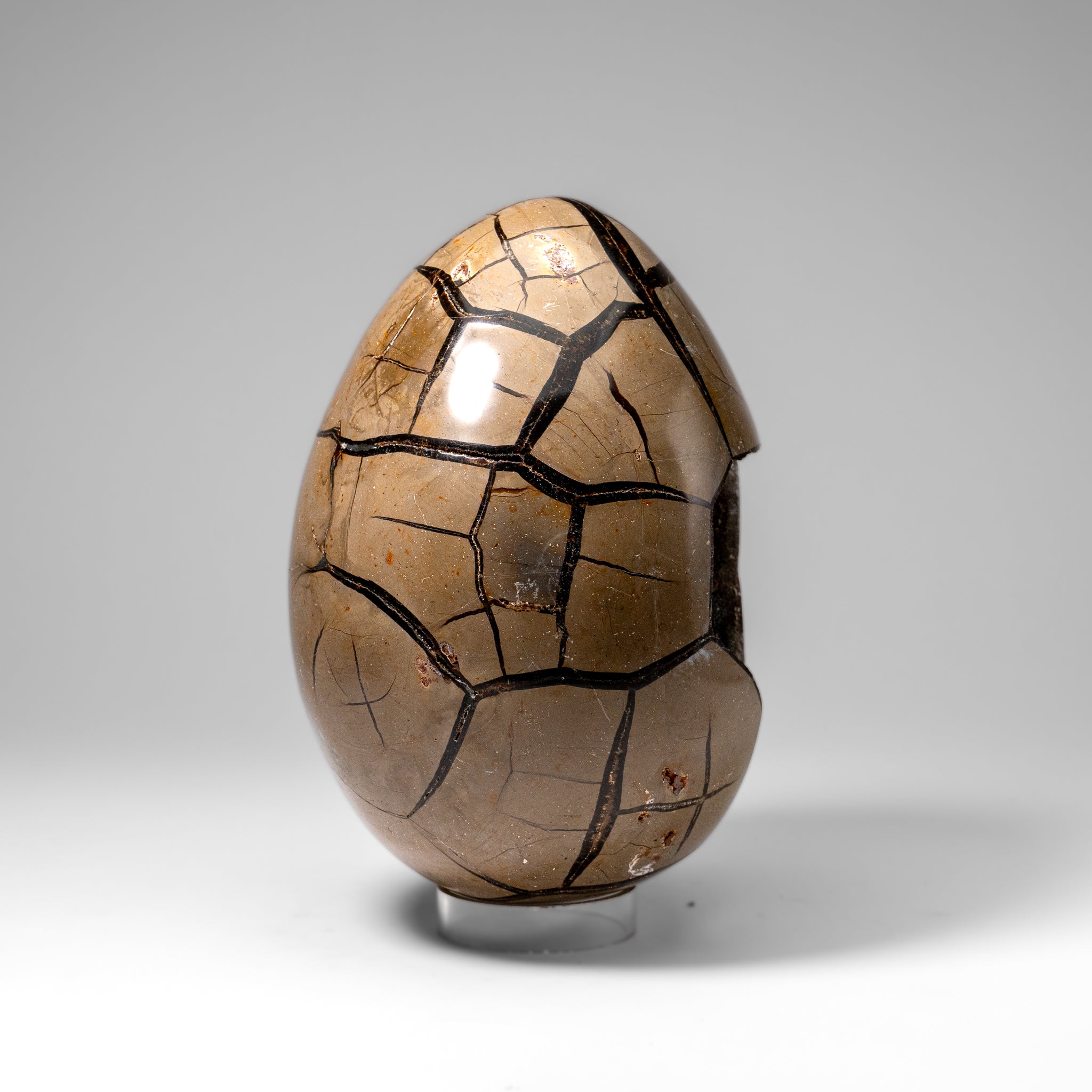 Polished Septarian Druzy Geode Egg from Madagascar (20 lbs)