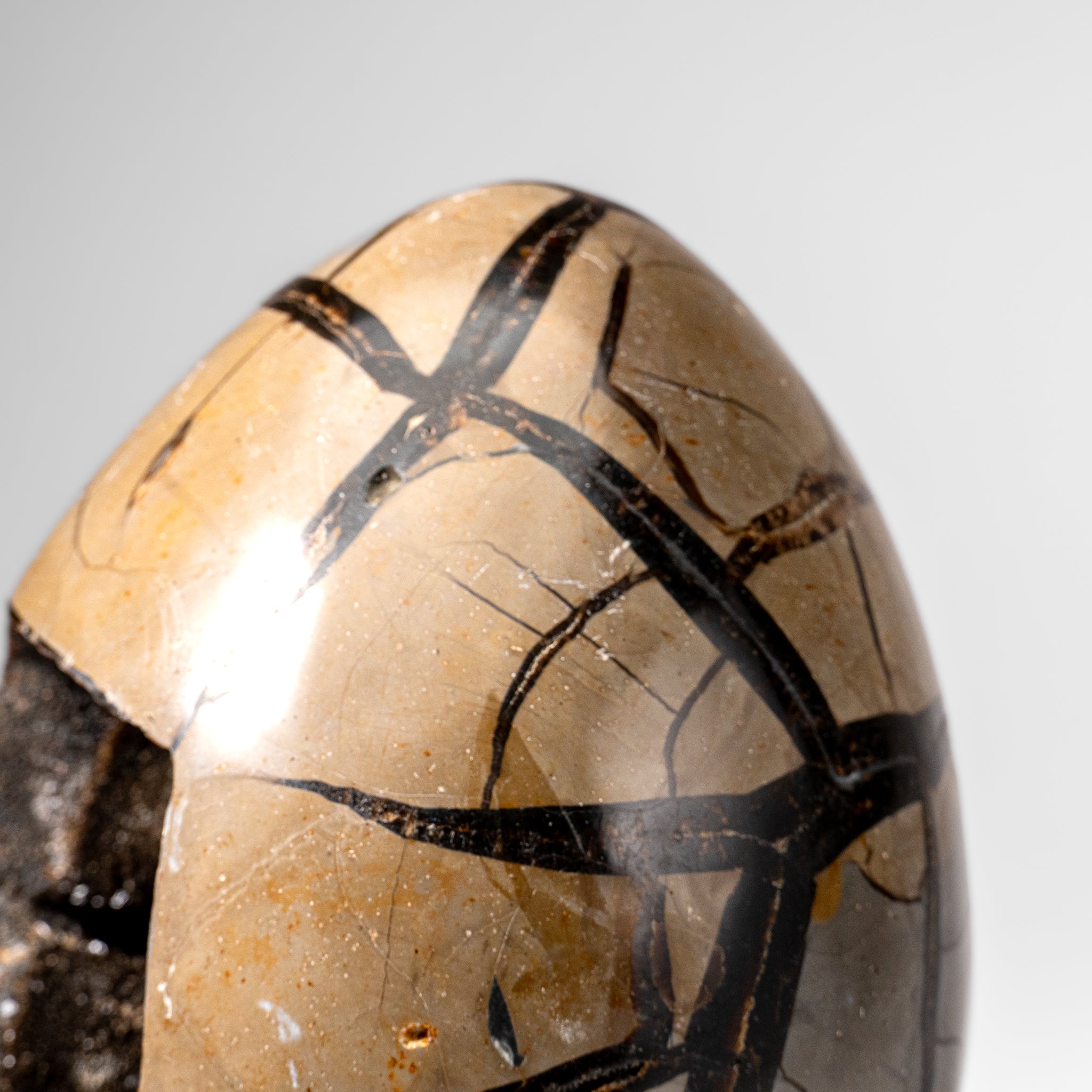 Polished Septarian Druzy Geode Egg from Madagascar (20 lbs)