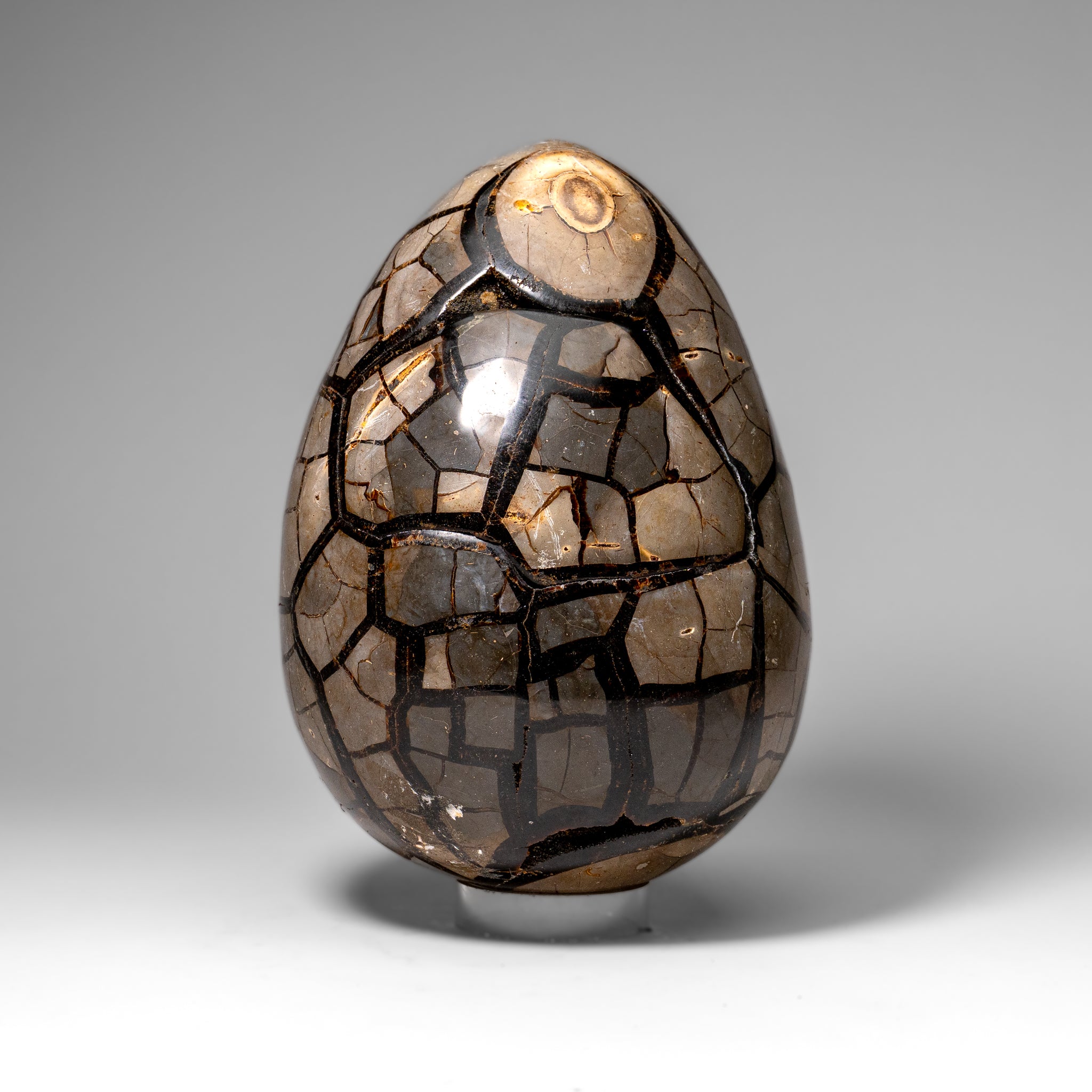 Polished Septarian Druzy Geode Egg from Madagascar (24 lbs)