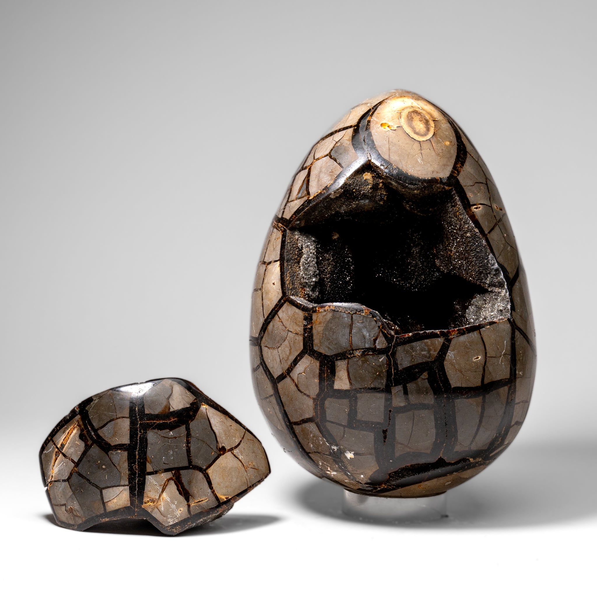 Polished Septarian Druzy Geode Egg from Madagascar (24 lbs)