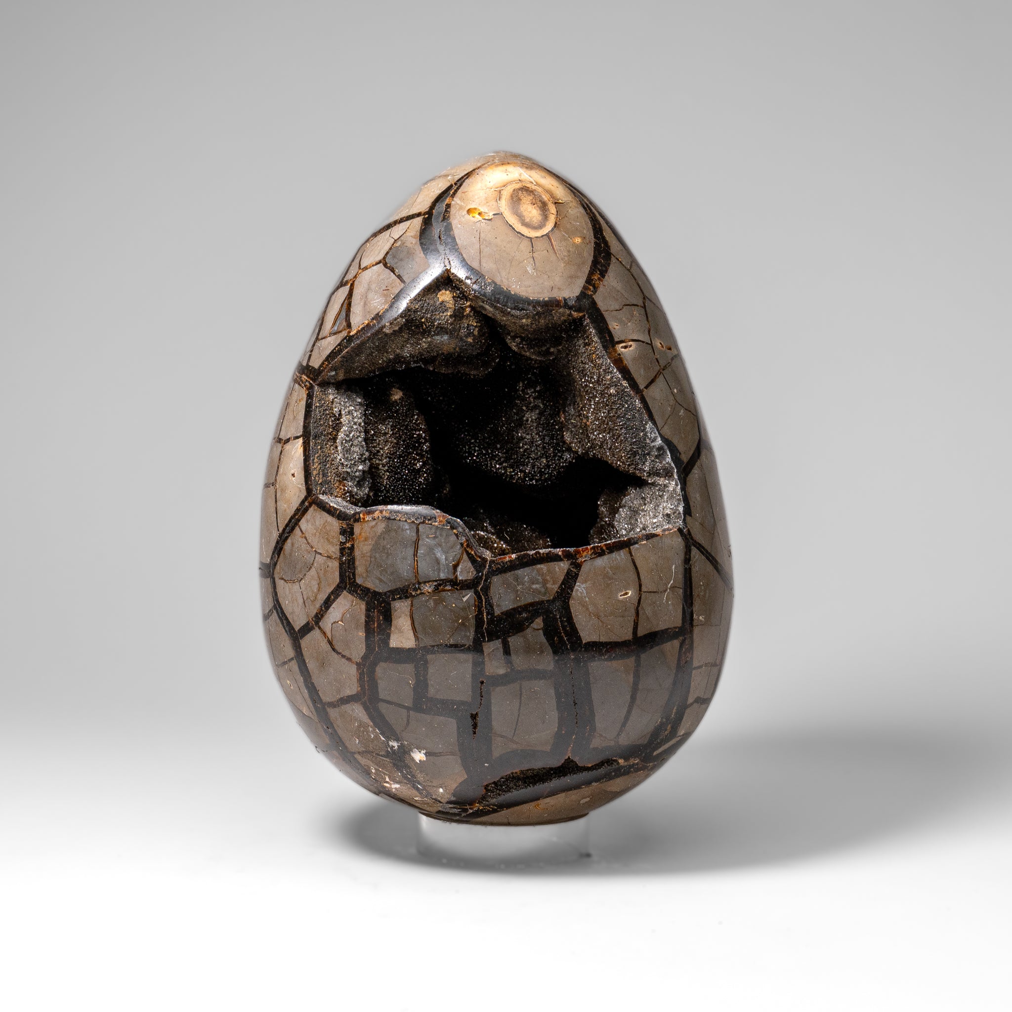 Polished Septarian Druzy Geode Egg from Madagascar (24 lbs)