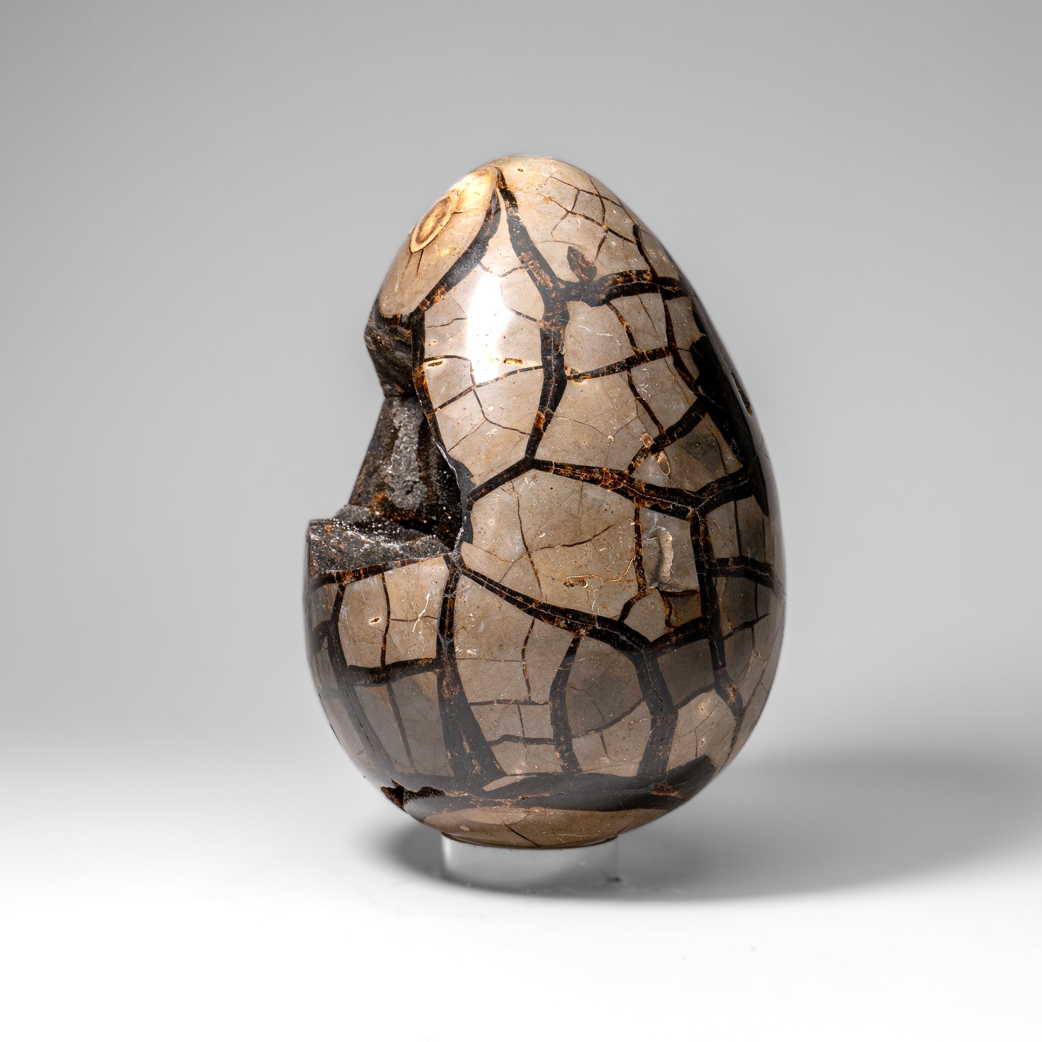 Polished Septarian Druzy Geode Egg from Madagascar (24 lbs)