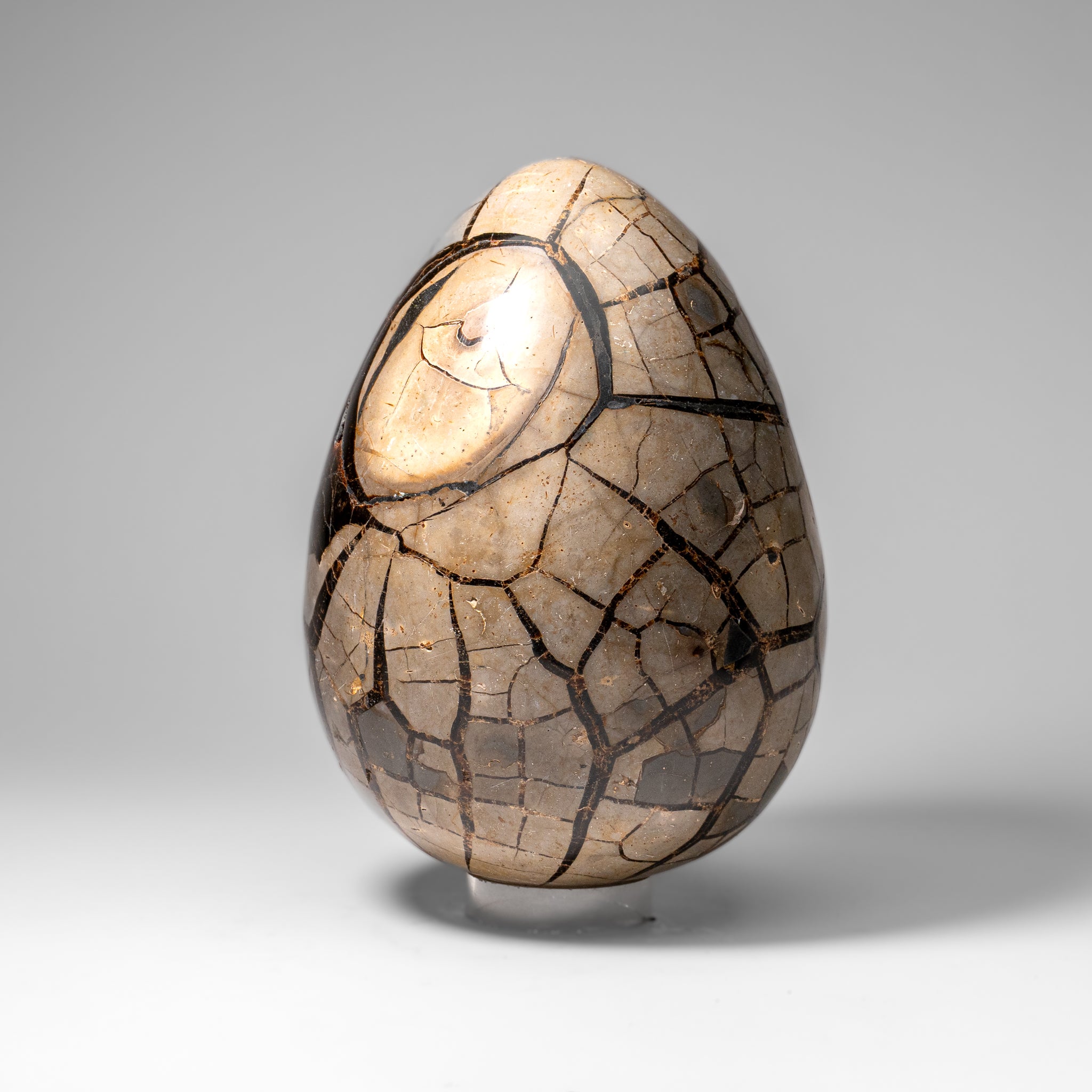 Polished Septarian Druzy Geode Egg from Madagascar (24 lbs)