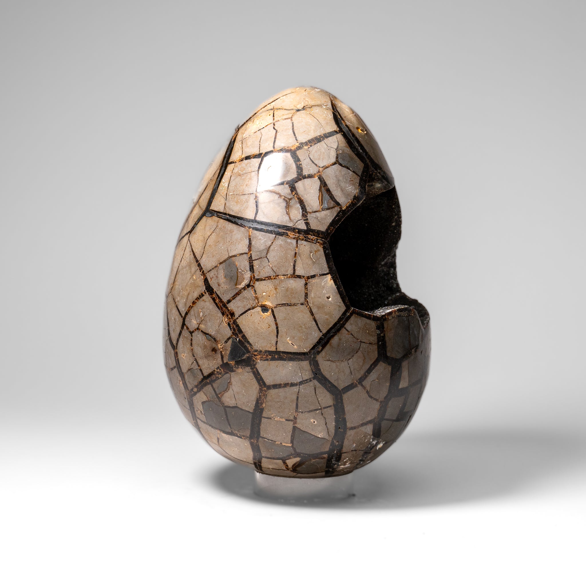 Polished Septarian Druzy Geode Egg from Madagascar (24 lbs)