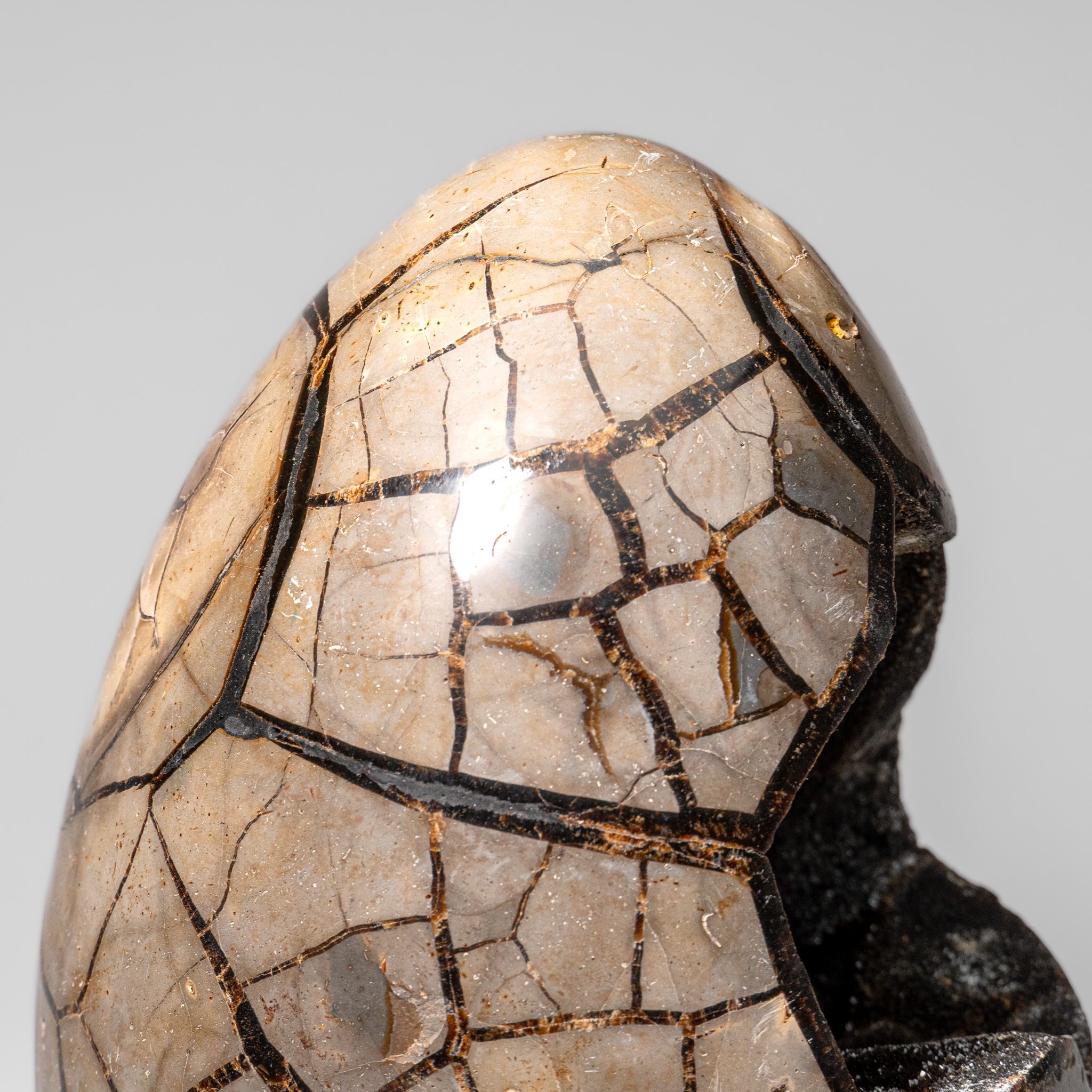 Polished Septarian Druzy Geode Egg from Madagascar (24 lbs)