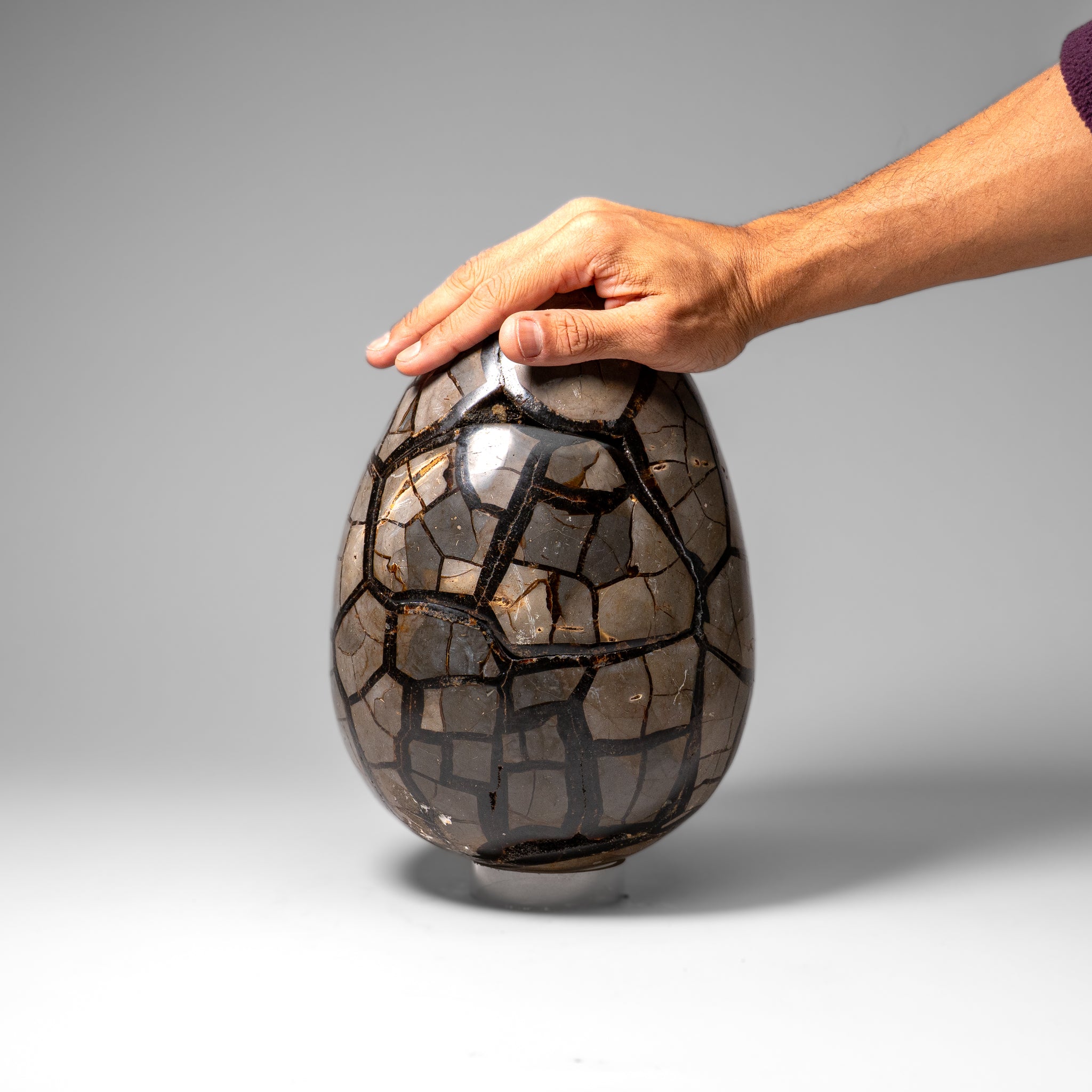 Polished Septarian Druzy Geode Egg from Madagascar (24 lbs)