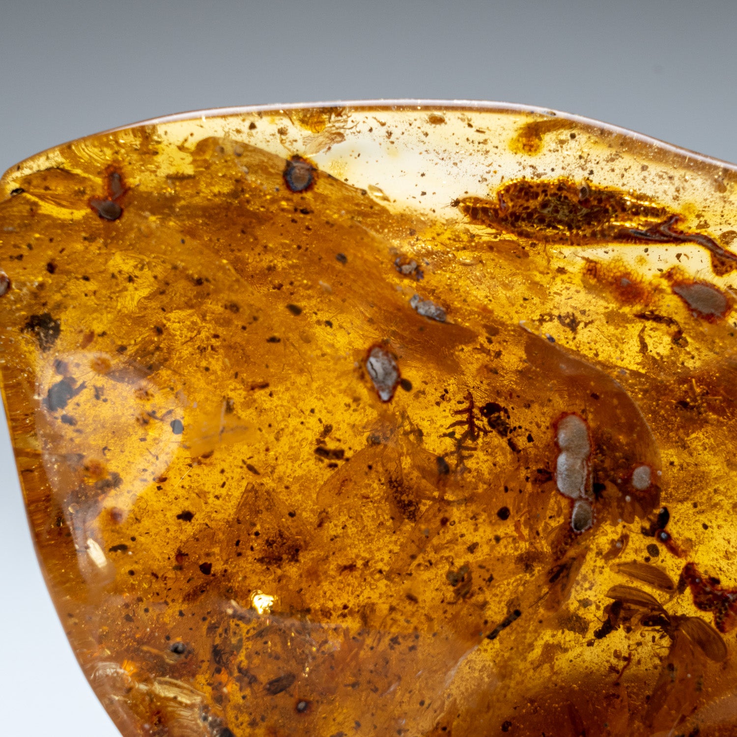 Amber from Baltic Sea, near Gdansk, Poland (303.6 grams)