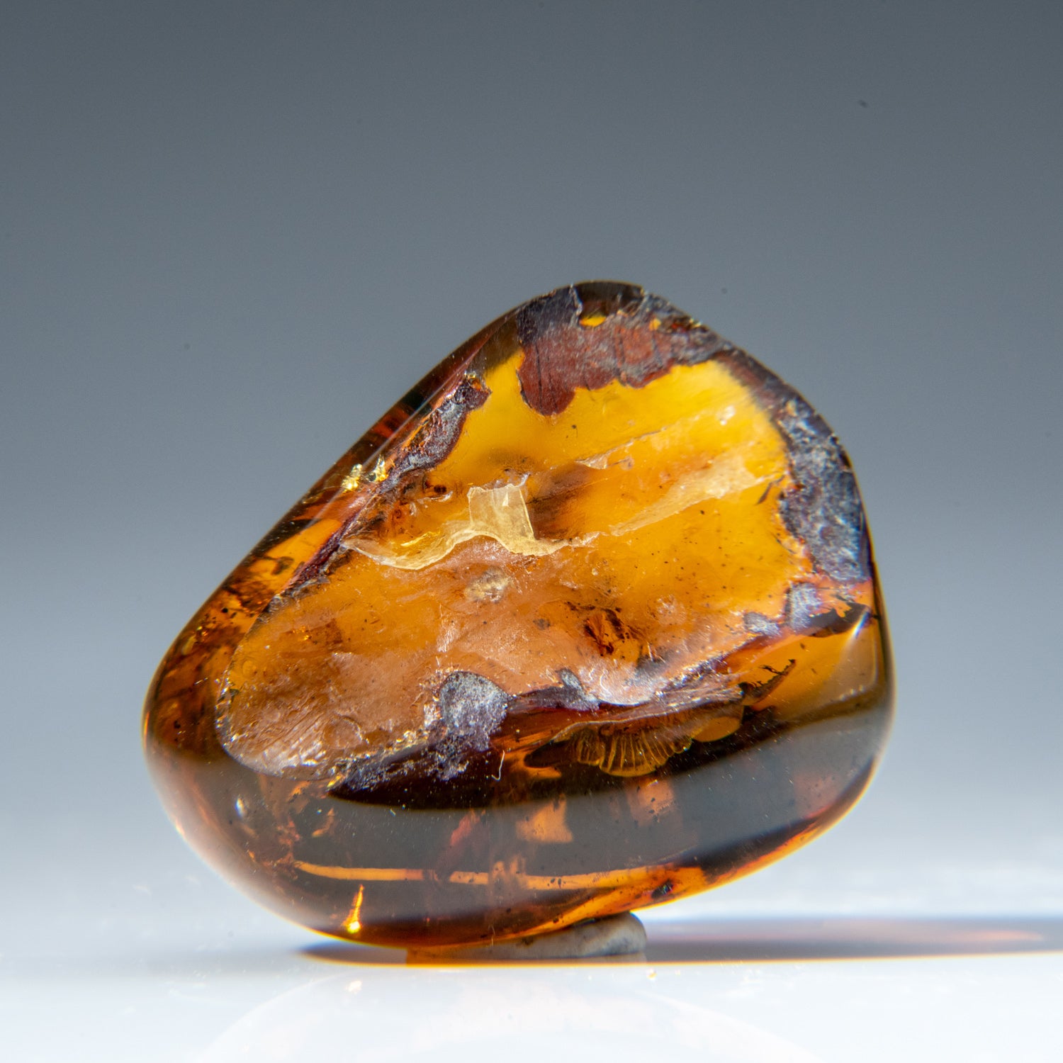 Genuine Natural Amber from Chiapas, Mexico (11.5 grams)