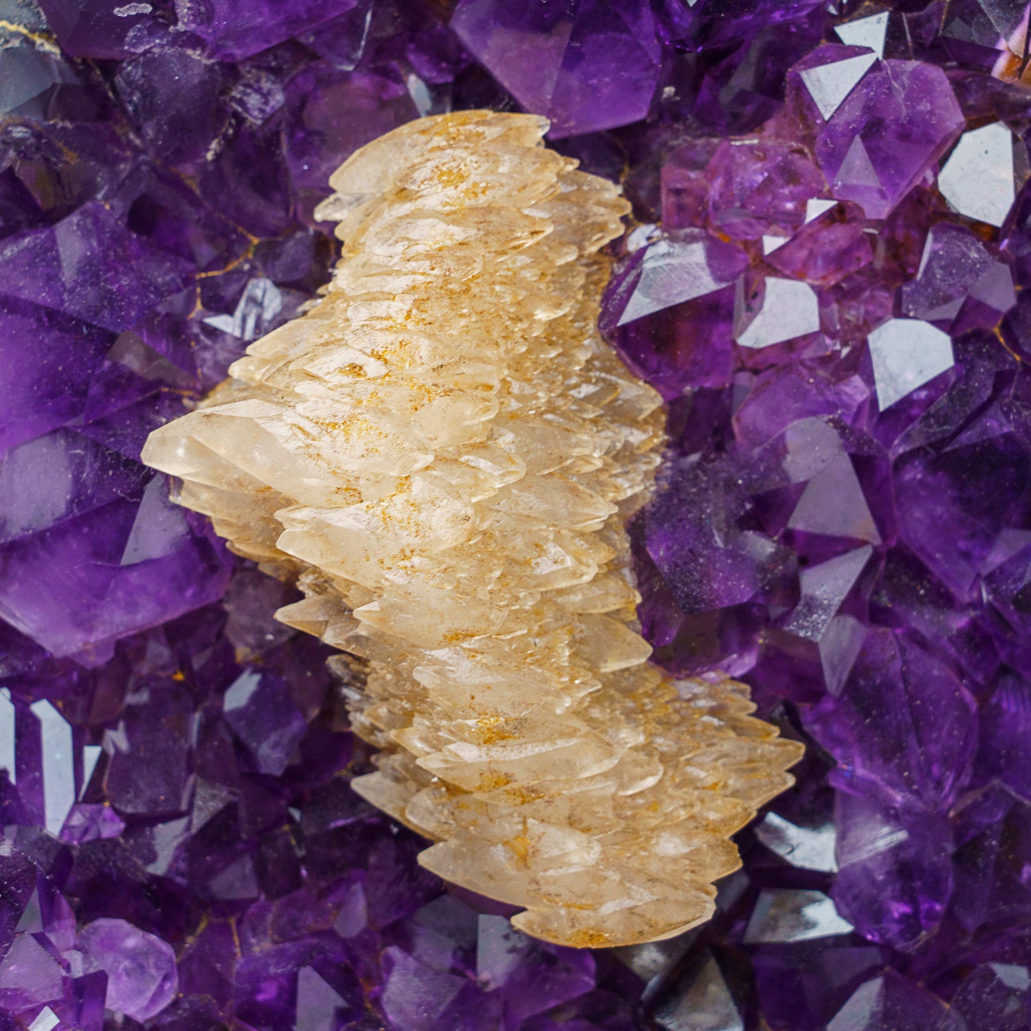 Genuine Amethyst Crystal Cluster with Calcite on Stand from Uruguay (58.5 lbs)