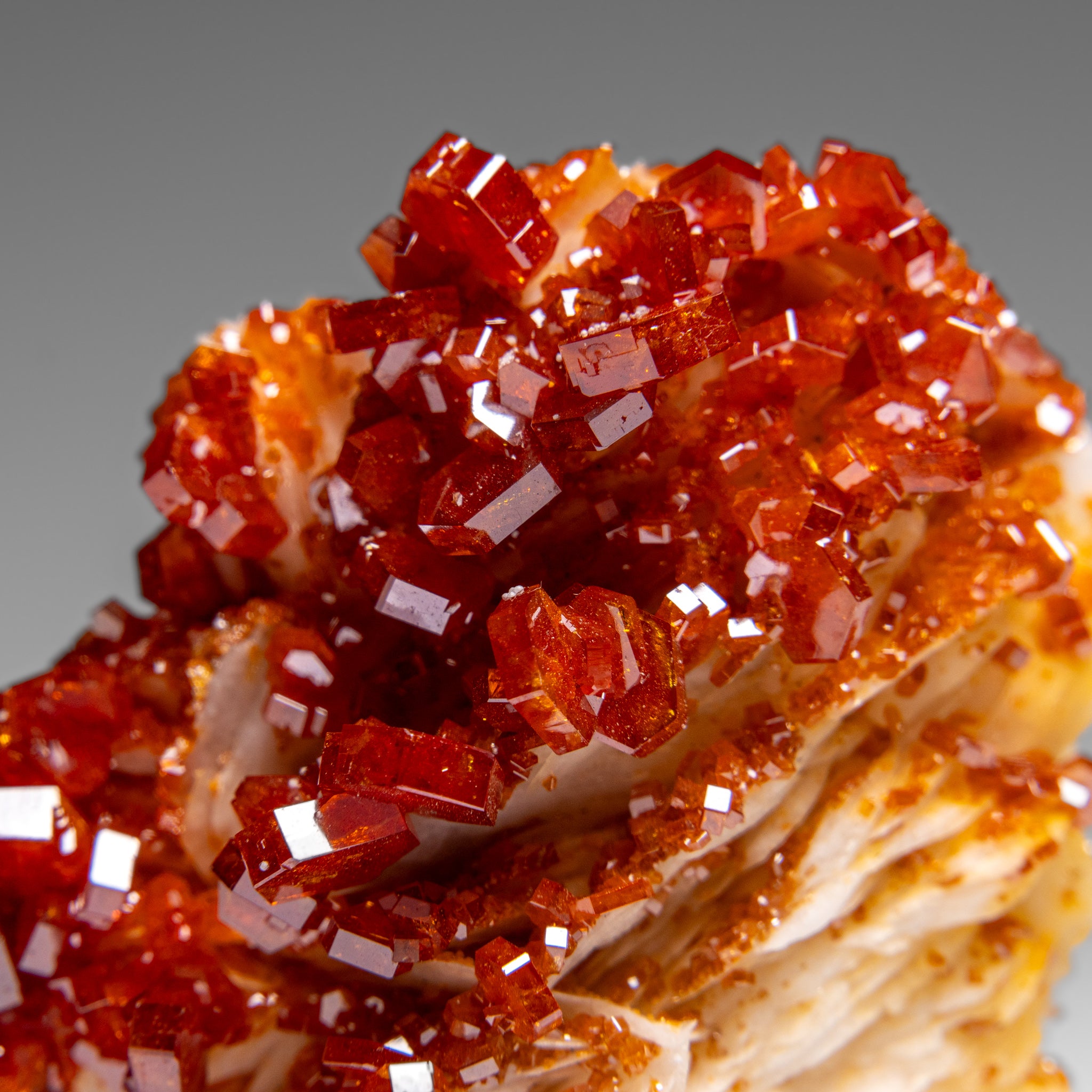 Vanadinite Crystal Cluster on Matrix from Morocco (87.3 grams)