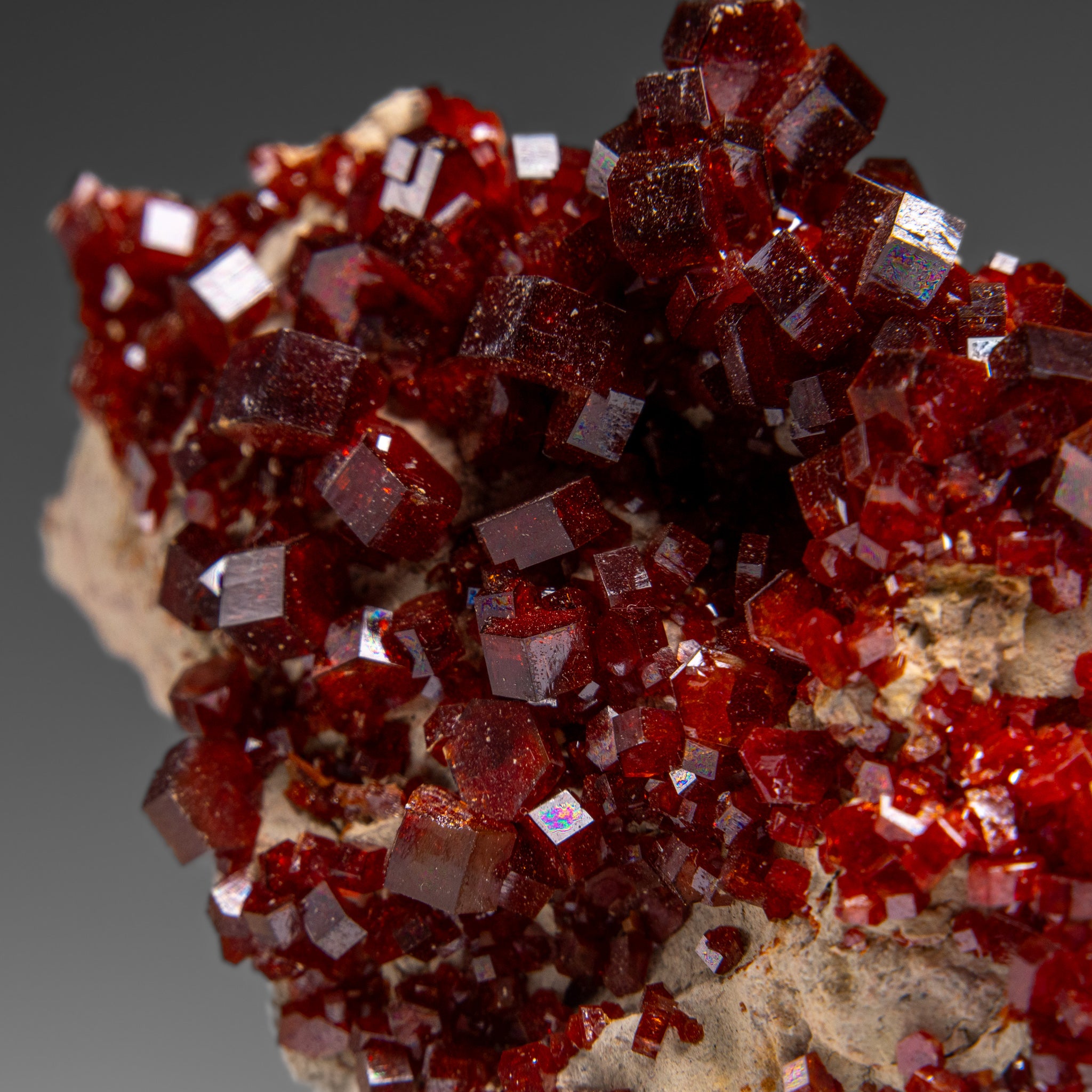 Vanadinite Crystal Cluster on Matrix from Morocco (118.7 grams)
